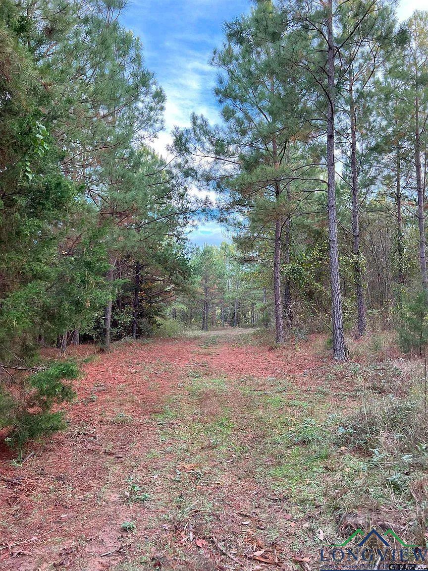 TBD Fm 161 S, Hughes Springs, Texas image 20