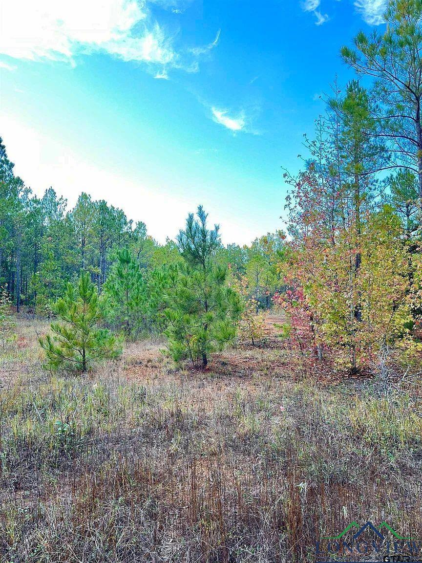 TBD Fm 161 S, Hughes Springs, Texas image 11