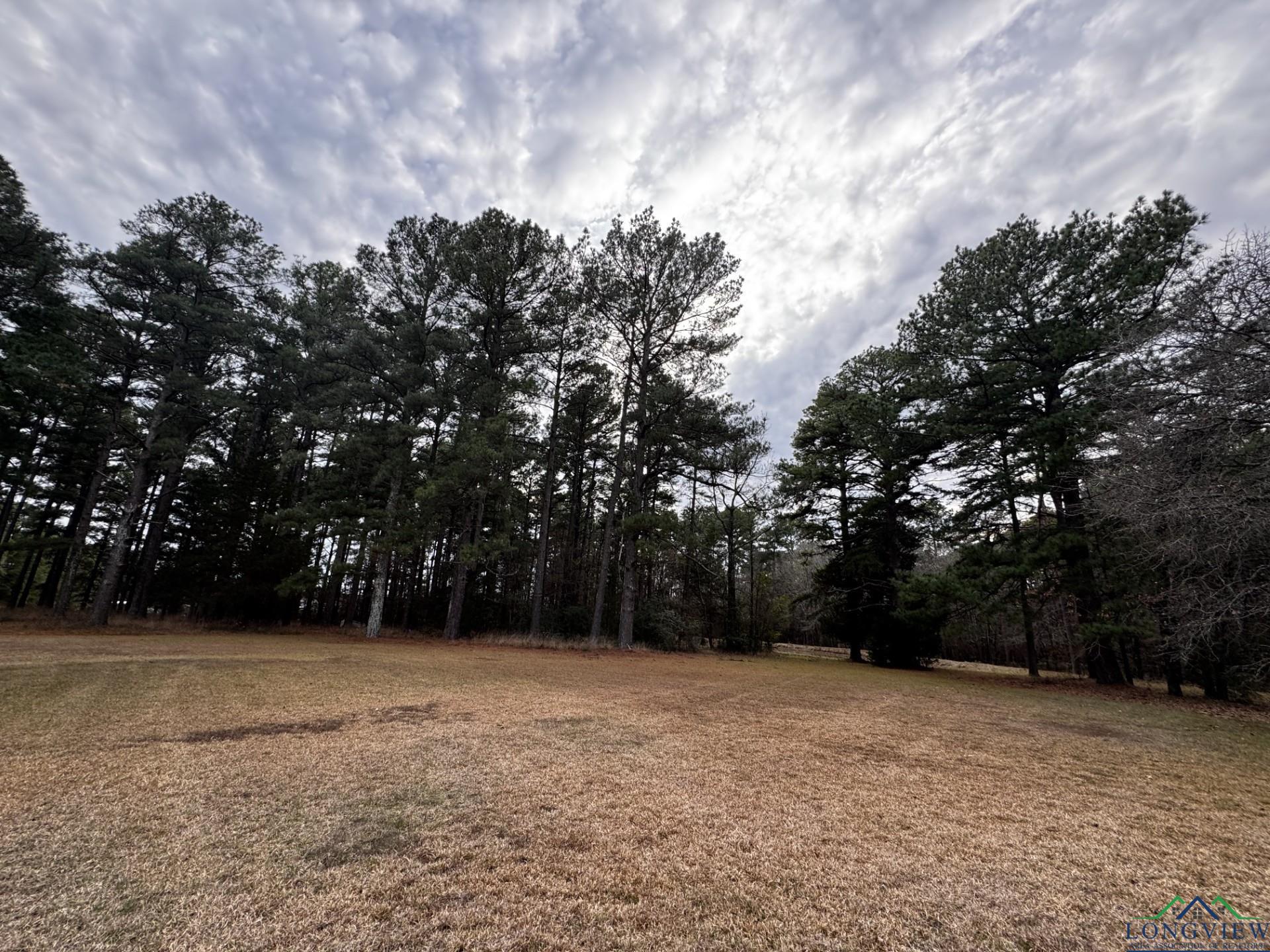 407 Country Club Road, Hallsville, New Mexico image 6