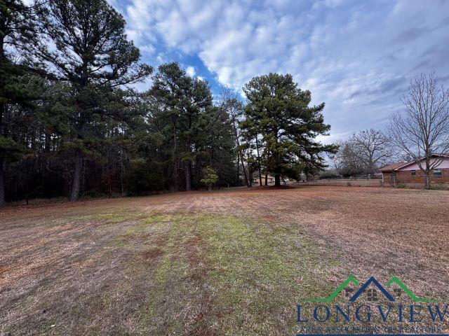 407 Country Club Road, Hallsville, New Mexico image 12
