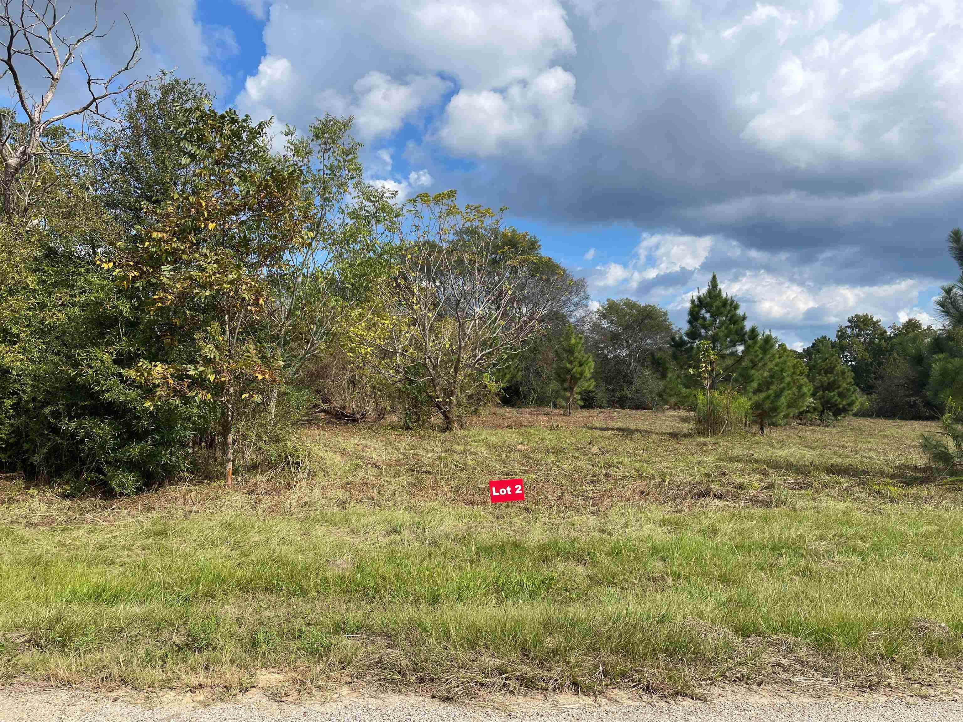 TBD Lot 2 Cr 2204 D & Fm 1797, Tatum, Texas image 1