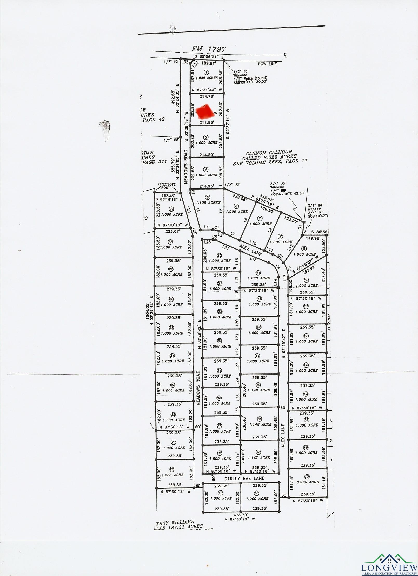 TBD Lot 2 Cr 2204 D & Fm 1797, Tatum, Texas image 2