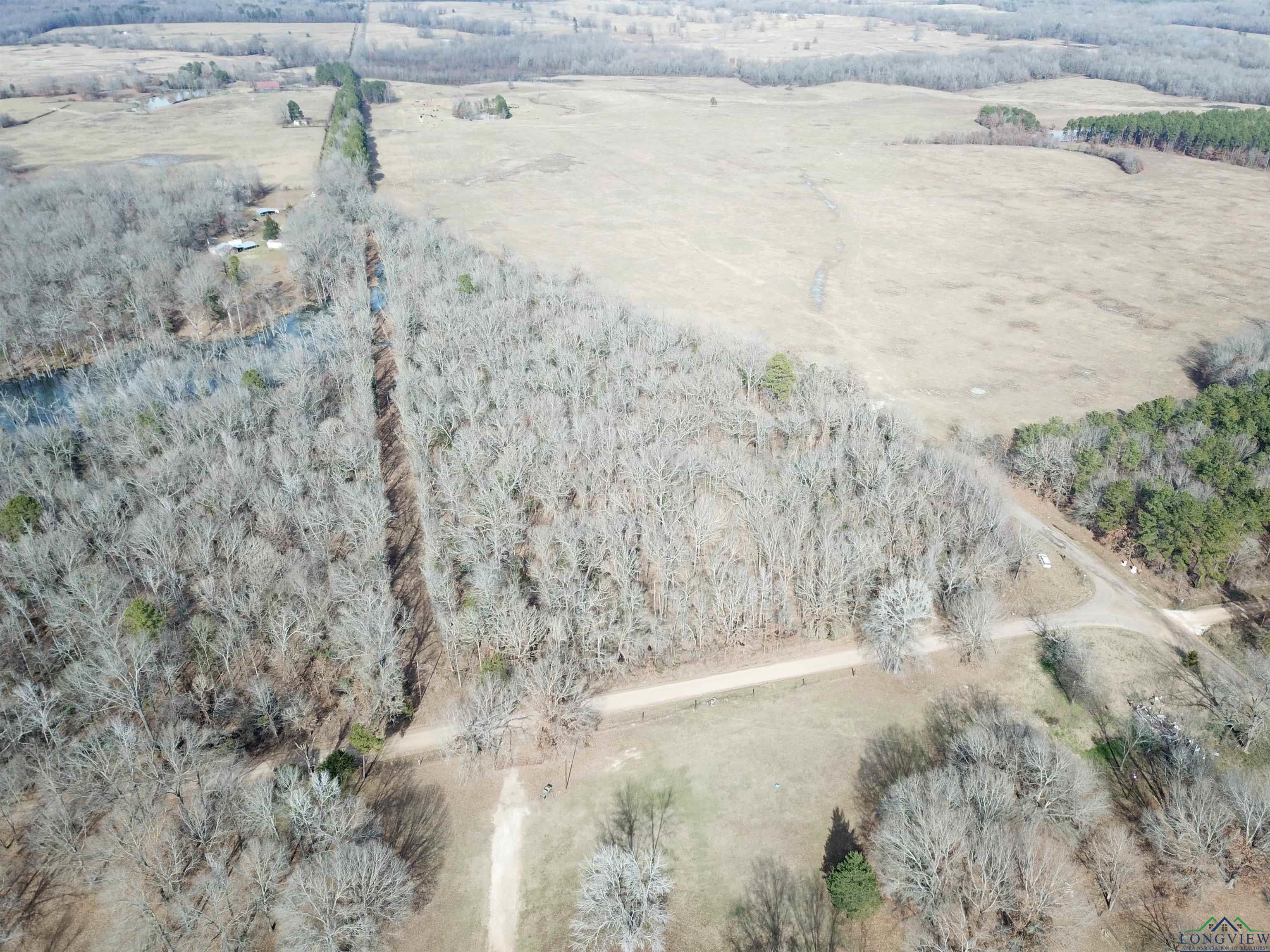 TBD Cr 4240, Simms, Texas image 3