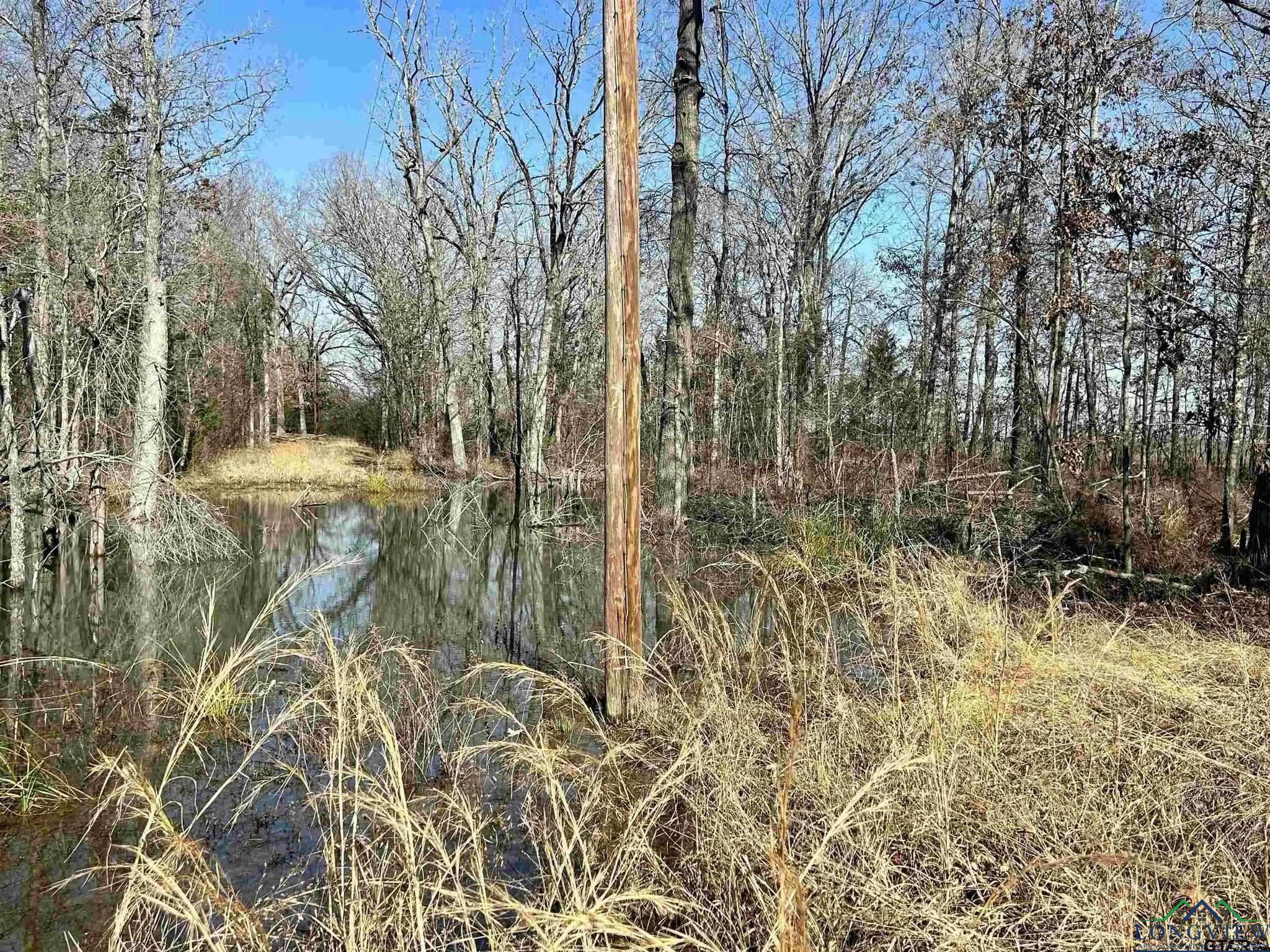 TBD Cr 4240, Simms, Texas image 6