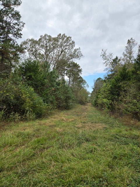 Vacant Land For Sale - 0000 Cr 474<br/> Price, TX 75652