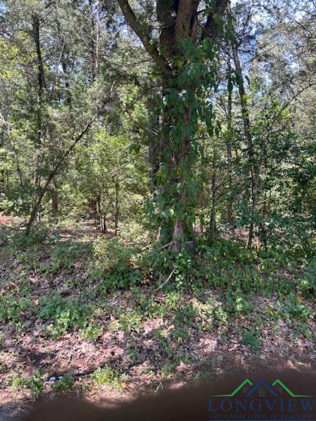 TBD Cr 4365, Mount Pleasant, Texas image 3