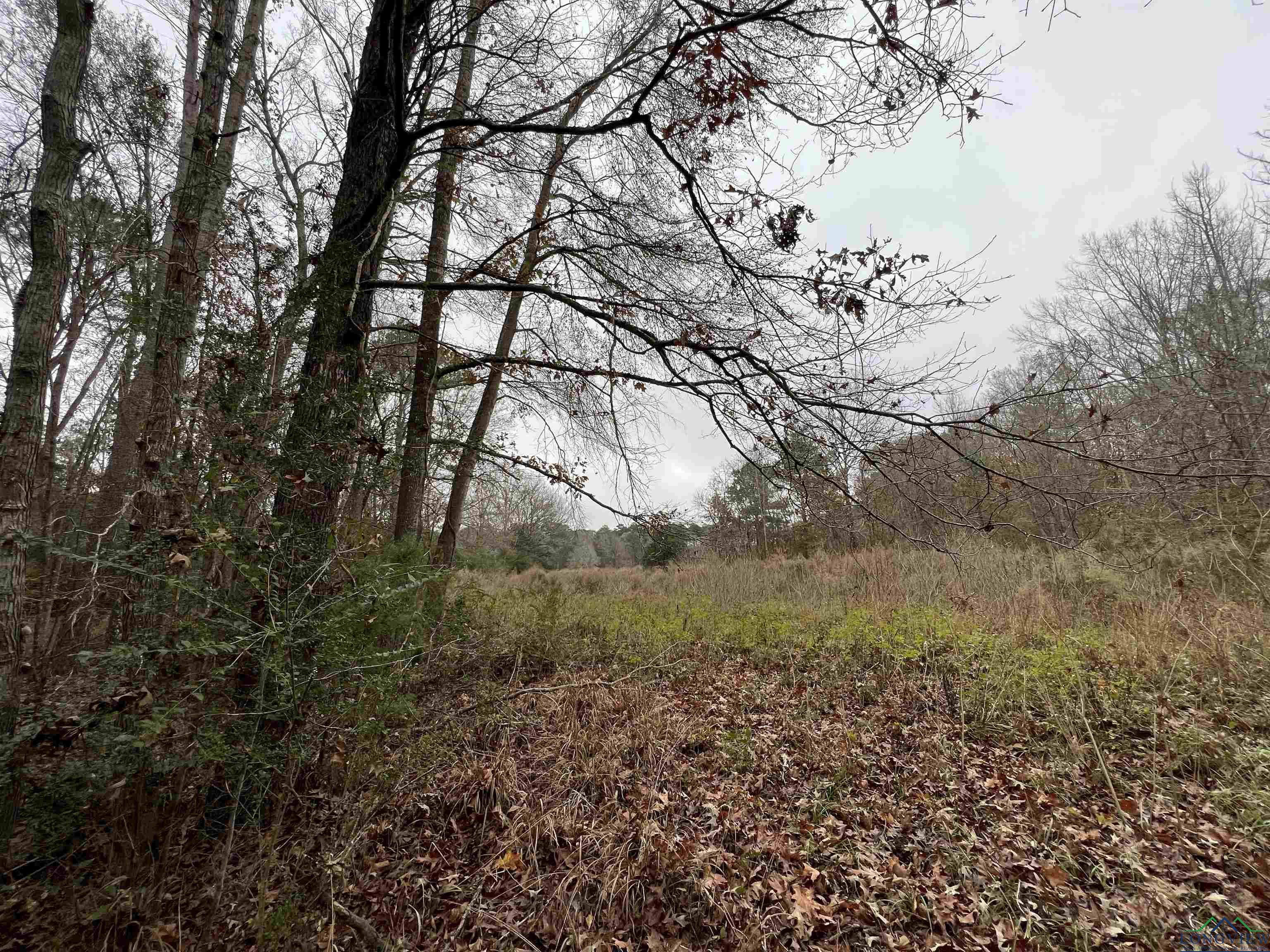 TBD Cr 4670, Tenaha, Texas image 6