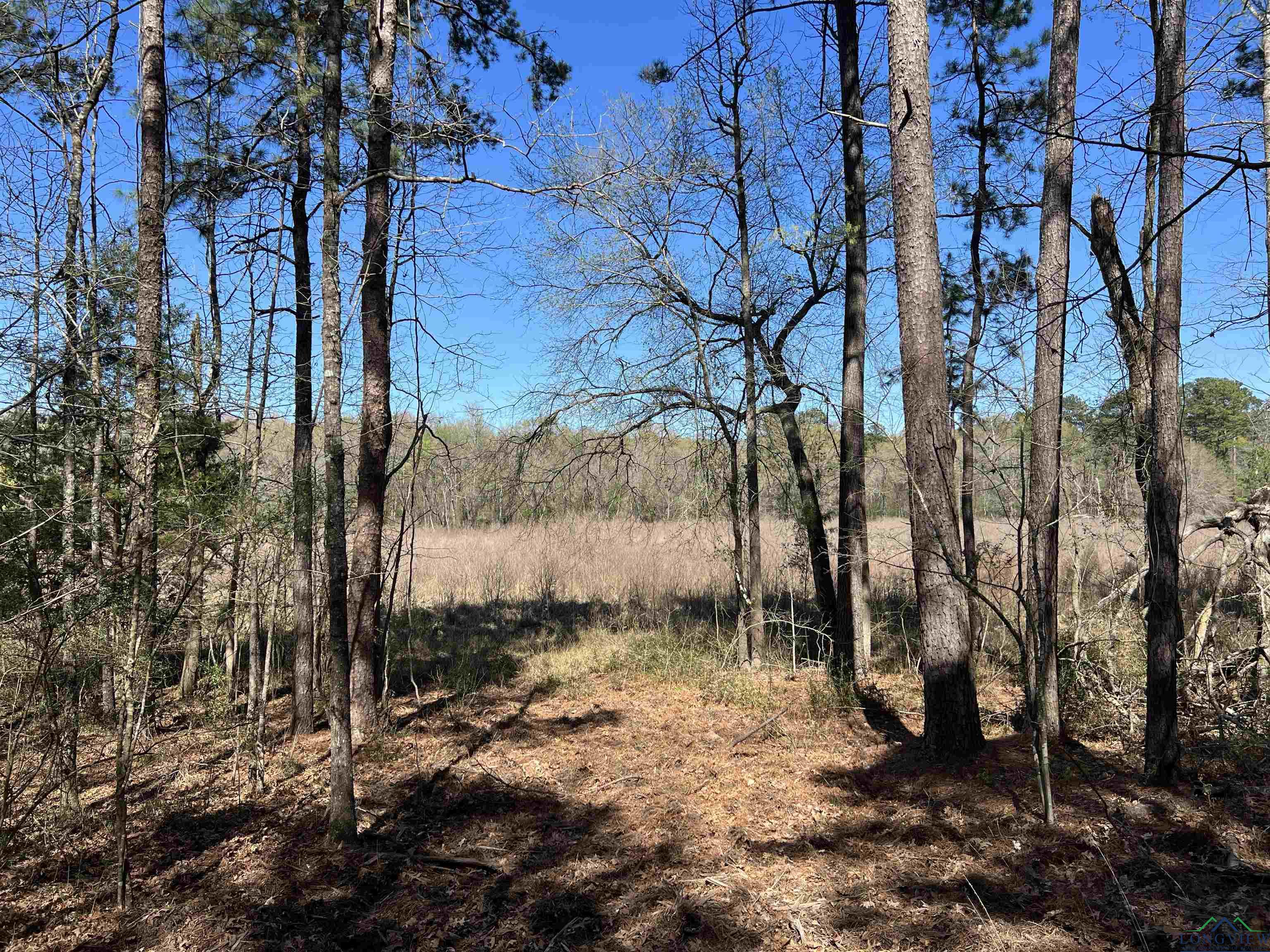 TBD Cr 4670, Tenaha, Texas image 2