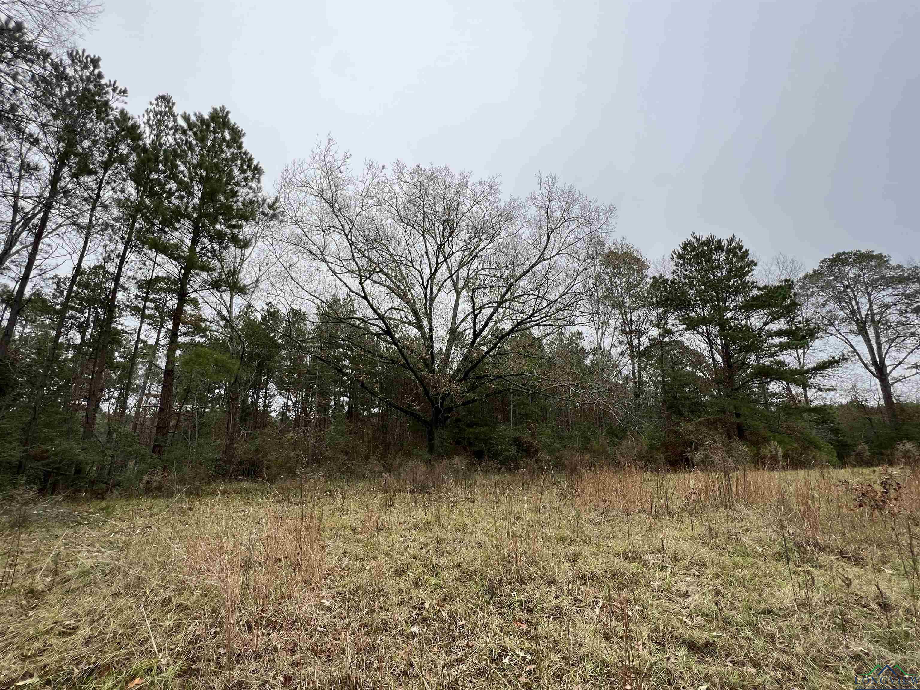 TBD Cr 4670, Tenaha, Texas image 20