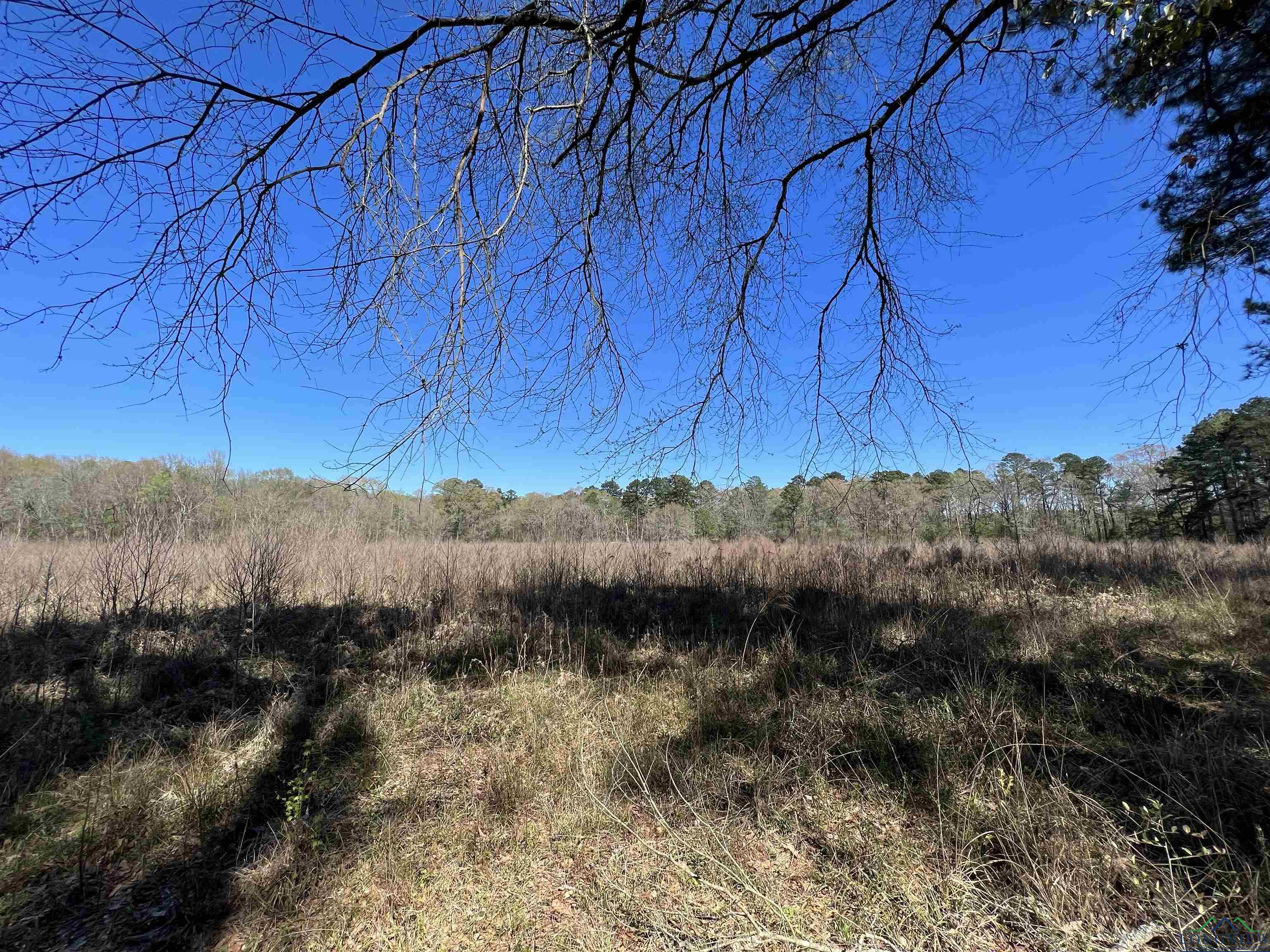 TBD Cr 4670, Tenaha, Texas image 4