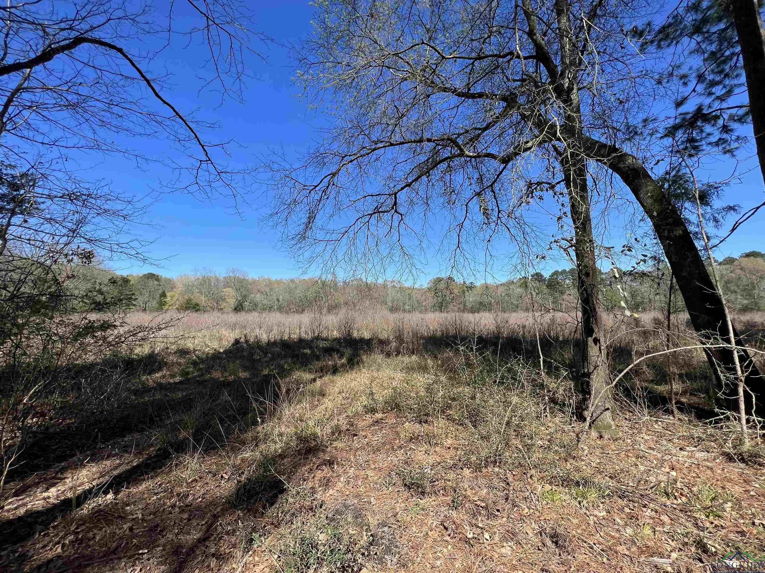 TBD Cr 4670, Tenaha, Texas image 3