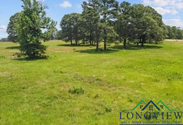 Lot 11 TBD Private Road 3398, Big Sandy, Texas image 7