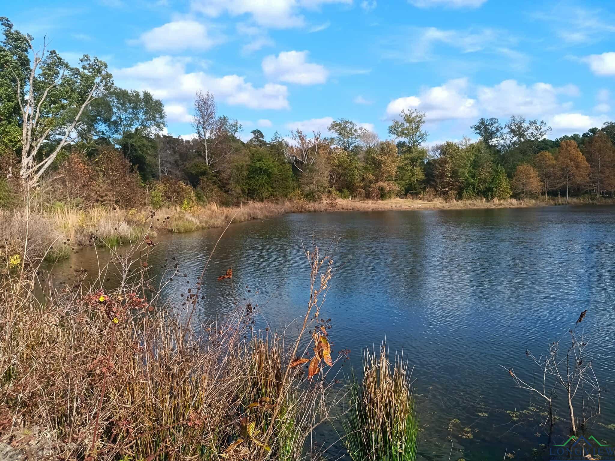 12965 Geranium Rd, Ore City, Texas image 3