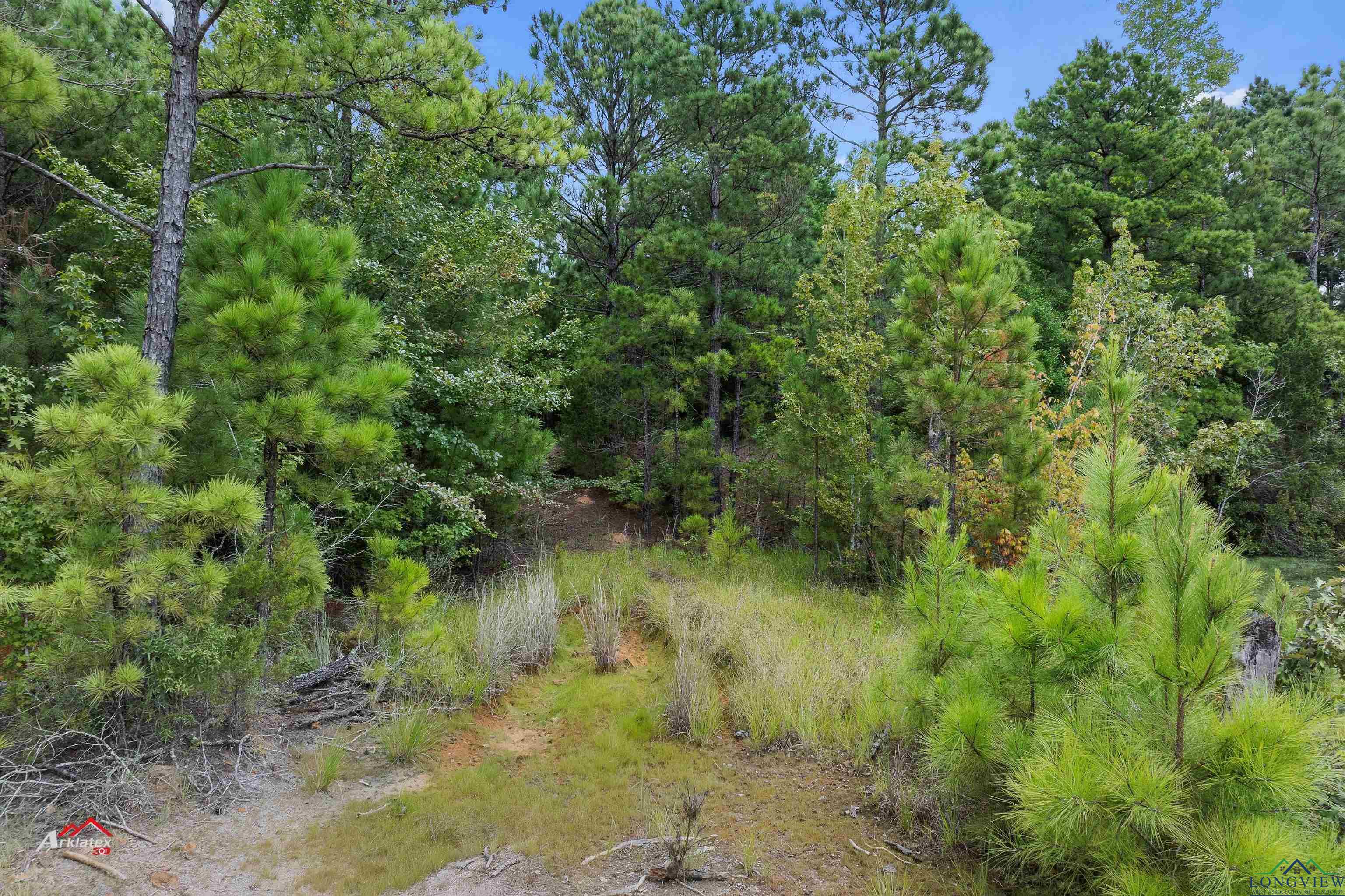 TBD N Fm 250, Hughes Springs, Texas image 18