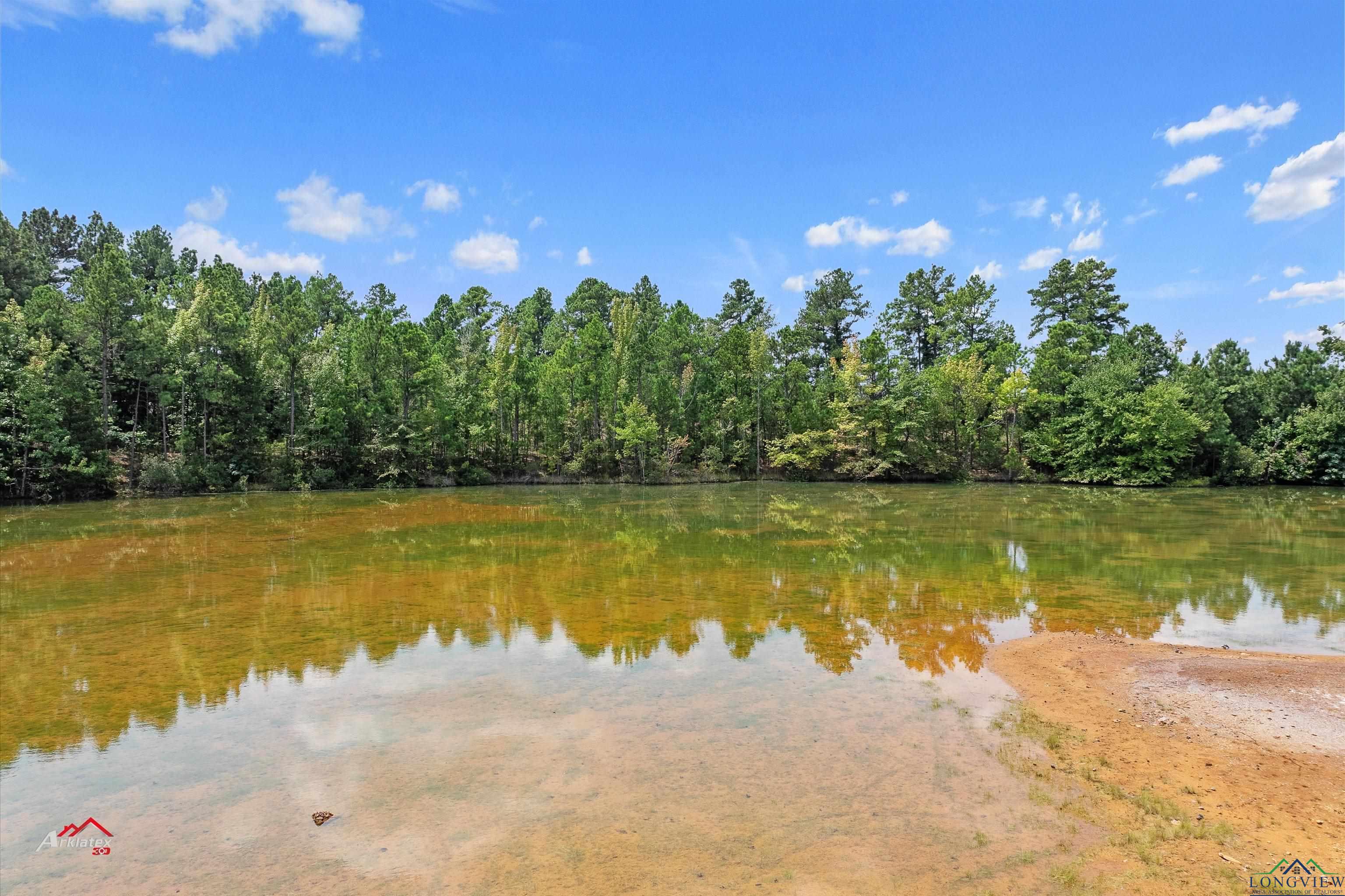 TBD N Fm 250, Hughes Springs, Texas image 9