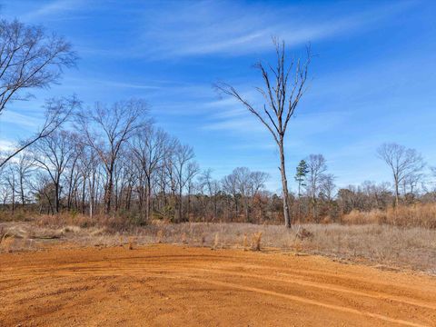 Vacant Land For Sale - LOT #4 Tbd Private Road 1109<br/> Upshur County, Diana, TX 75640