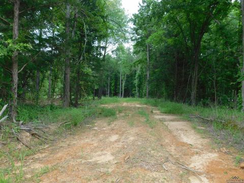 Vacant Land For Sale - TBD Groundhog Rd<br/> Gilmer, TX 75644