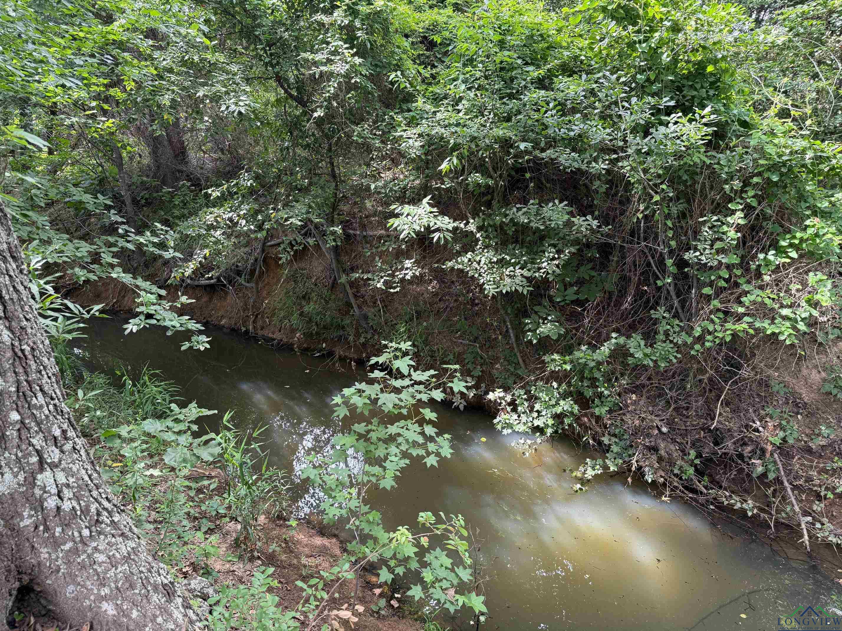 700 Choctaw, Quitman, Texas image 18