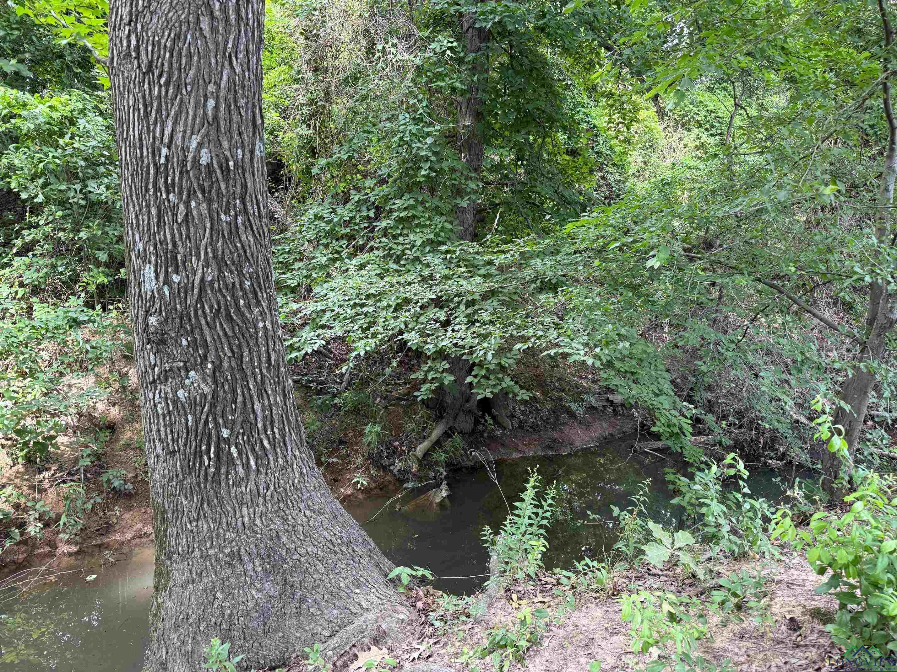 700 Choctaw, Quitman, Texas image 17