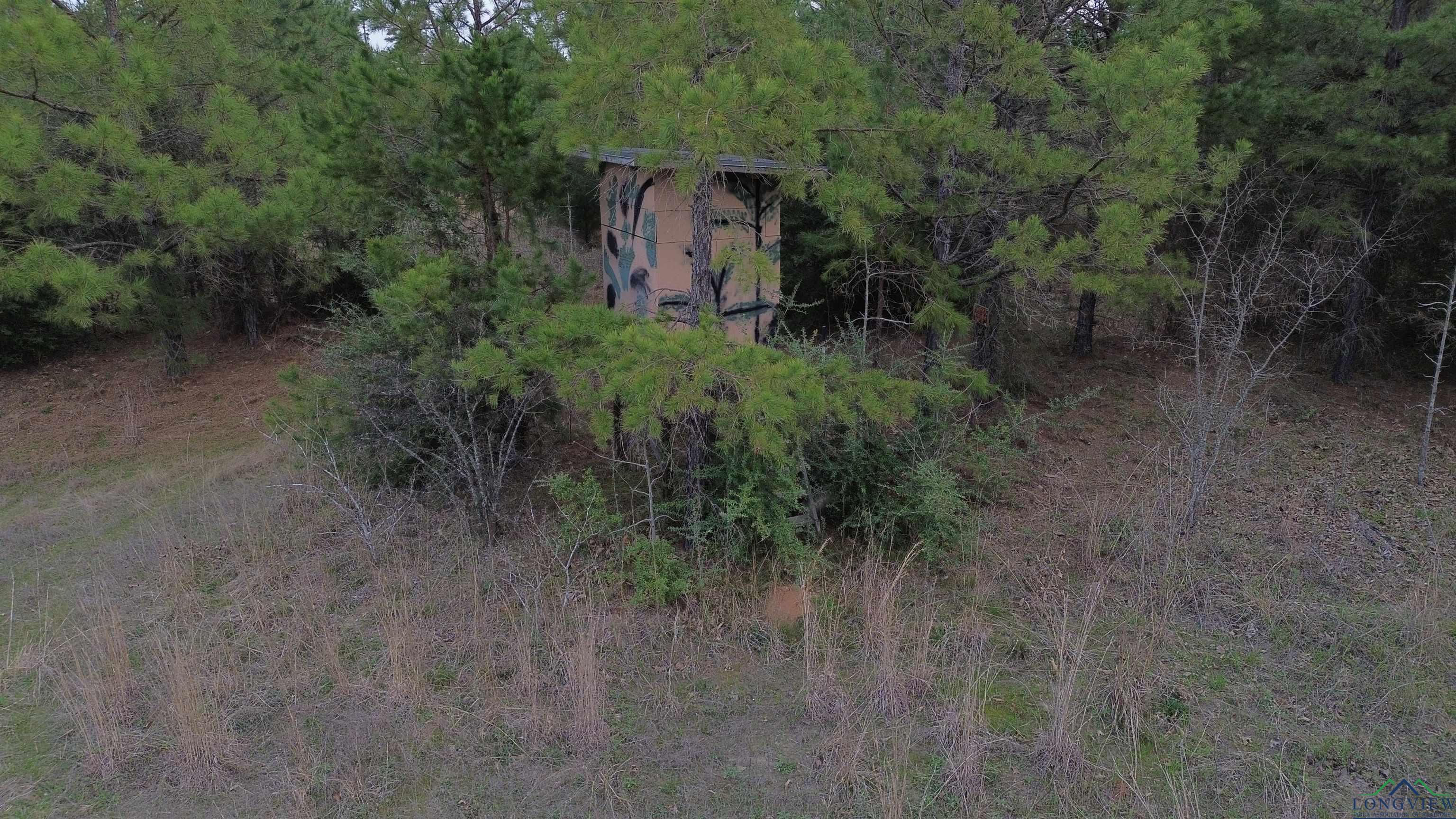 TBD County Road 1634, Linden, Texas image 27