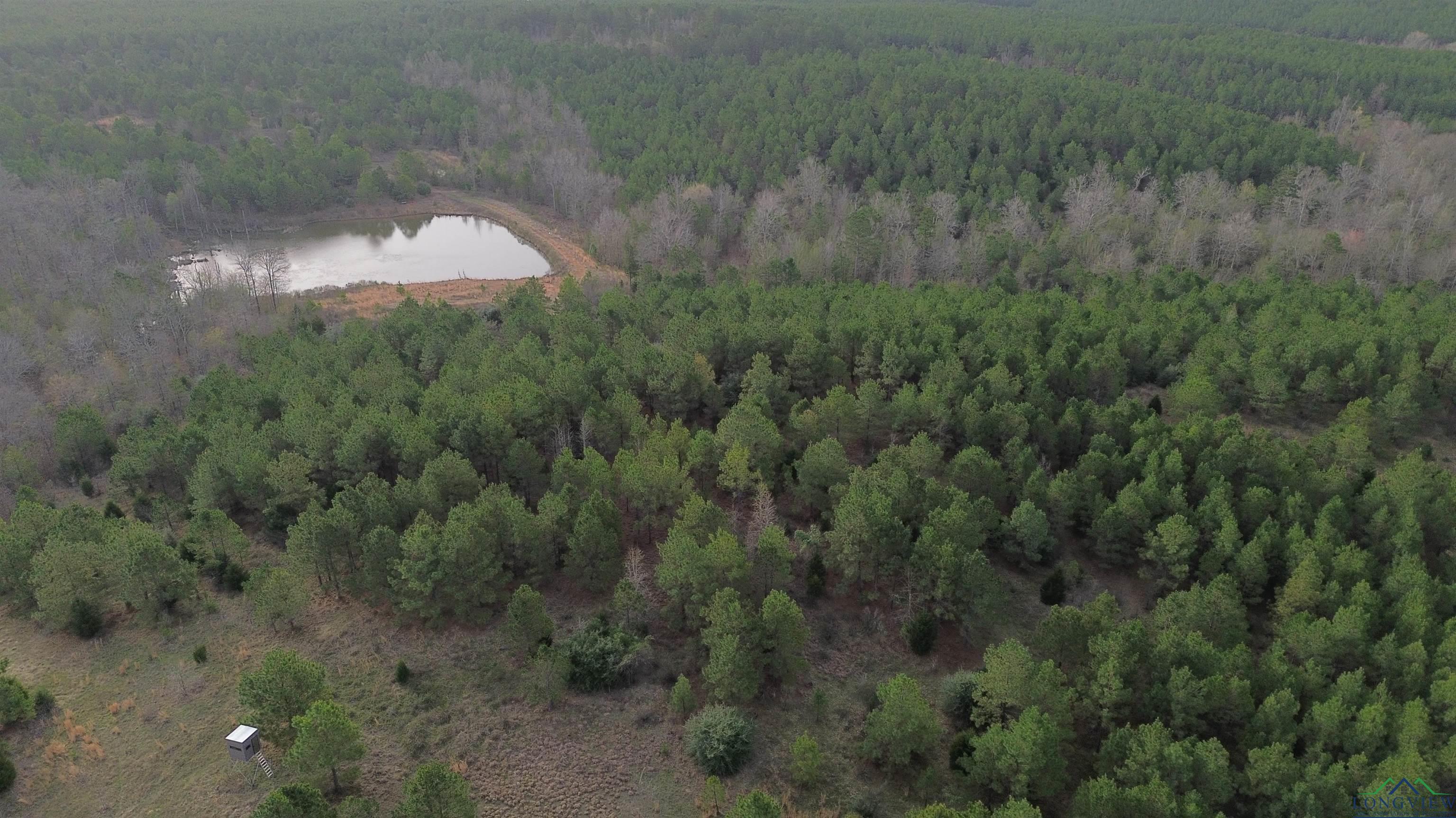 TBD County Road 1634, Linden, Texas image 26