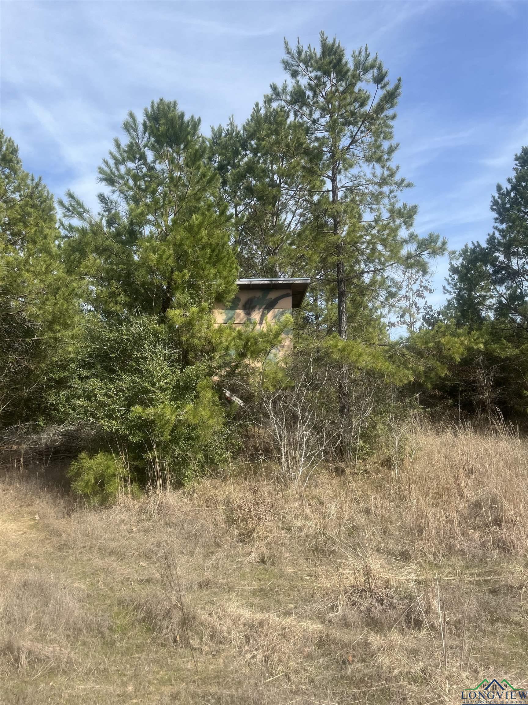 TBD County Road 1634, Linden, Texas image 19