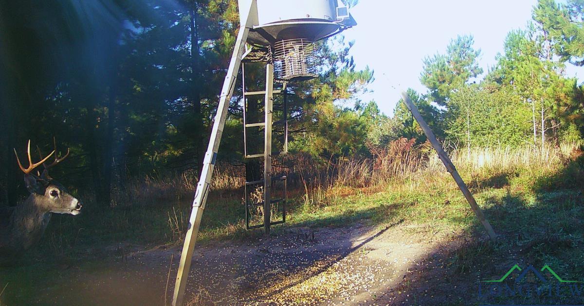 TBD County Road 1634, Linden, Texas image 6