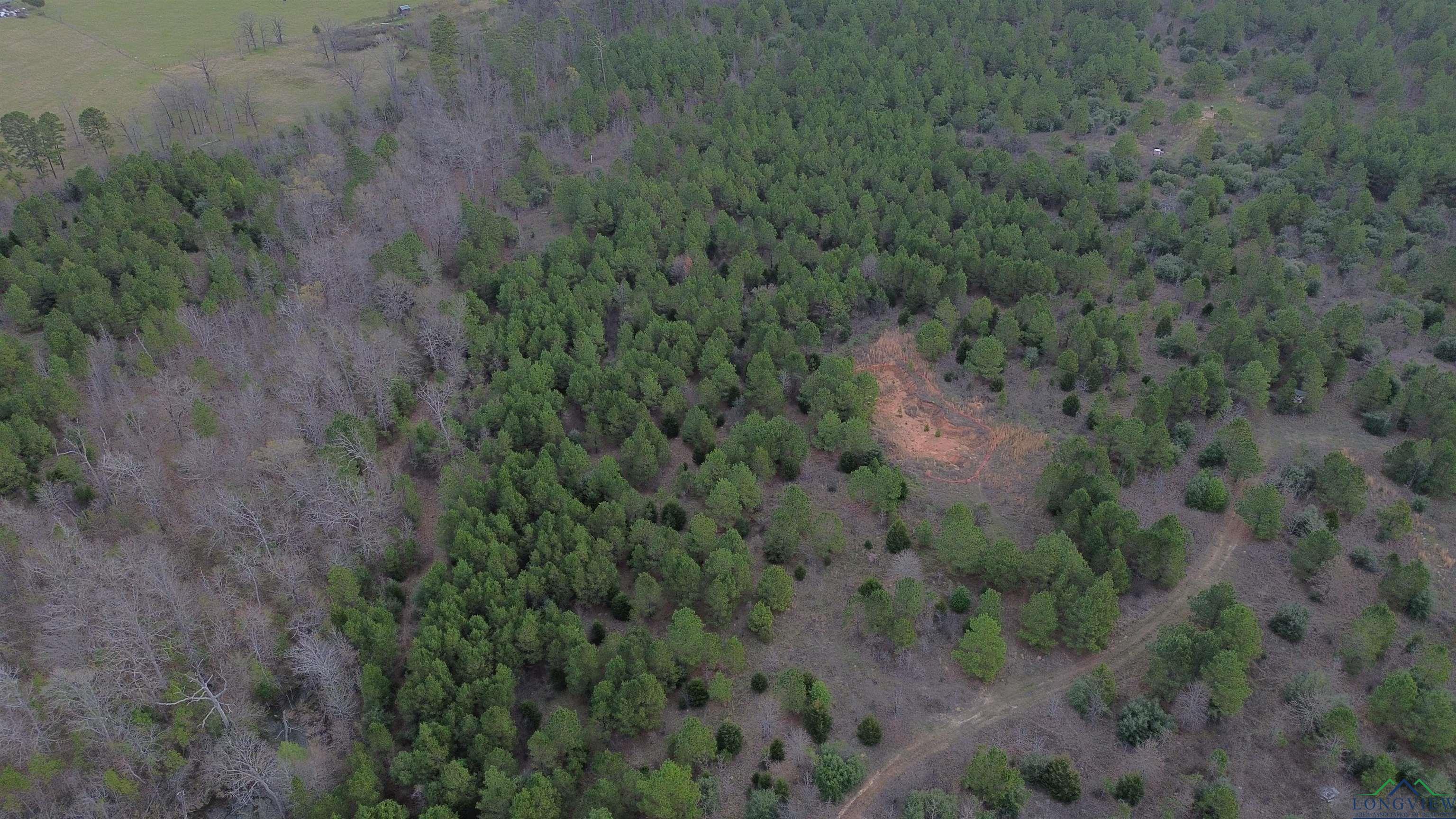 TBD County Road 1634, Linden, Texas image 23