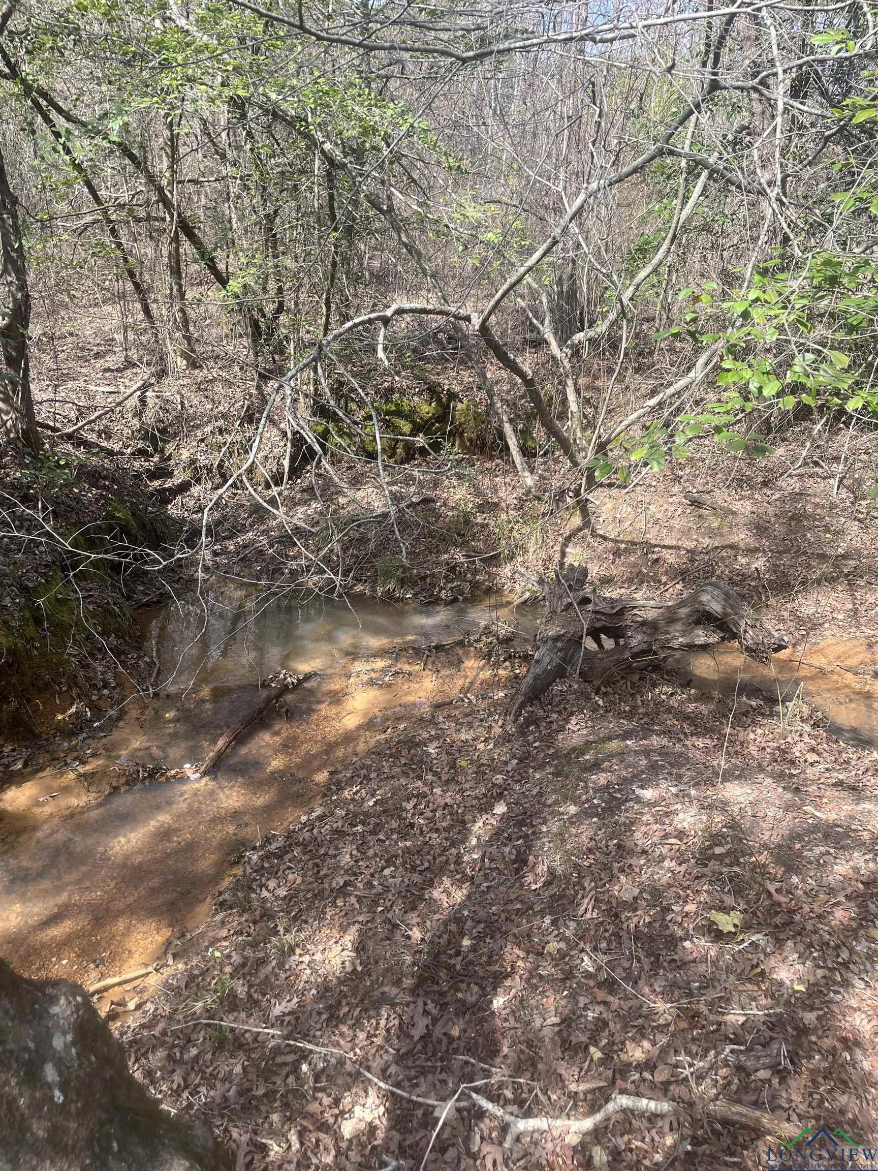 TBD County Road 1634, Linden, Texas image 16