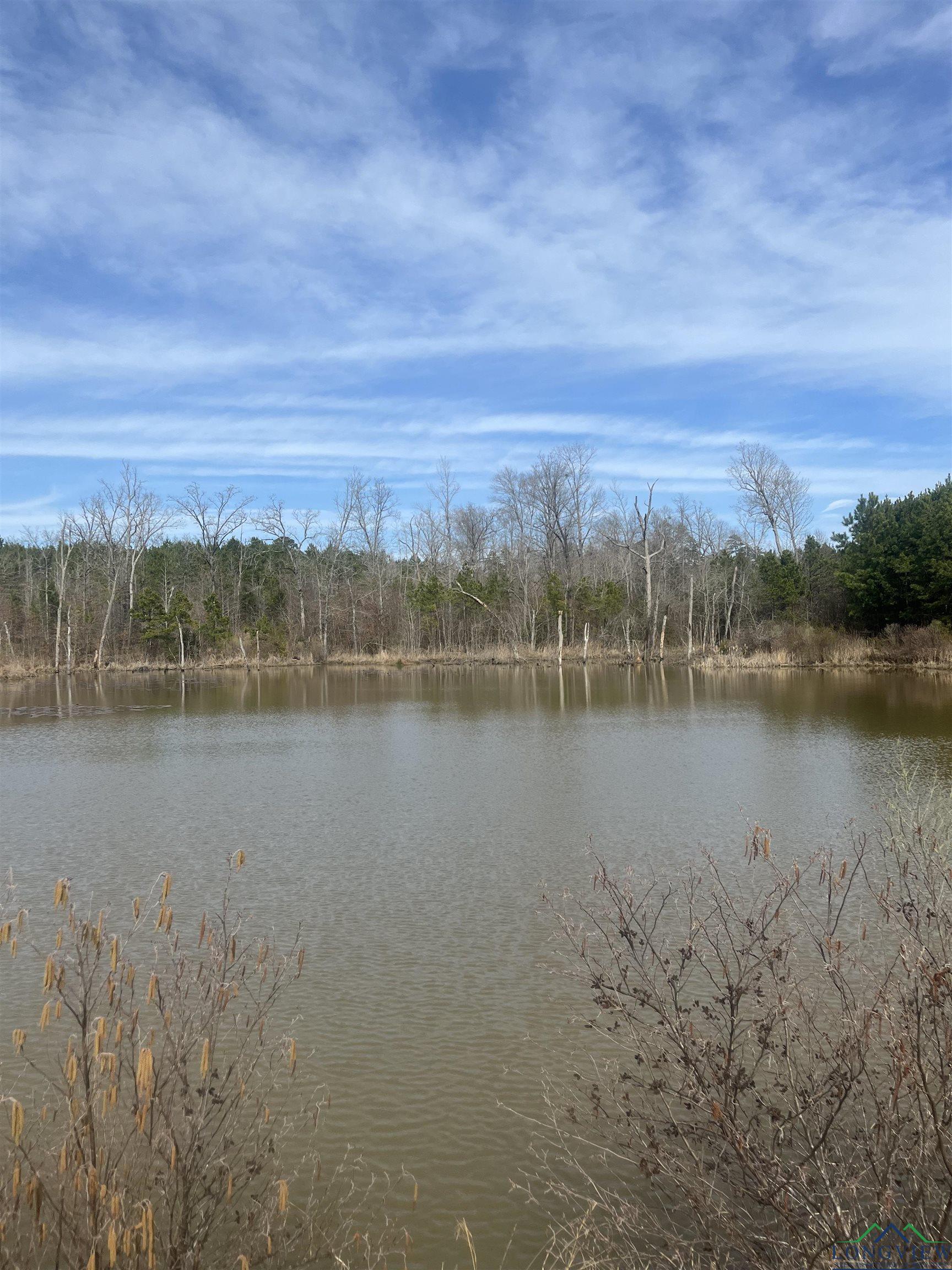 TBD County Road 1634, Linden, Texas image 18