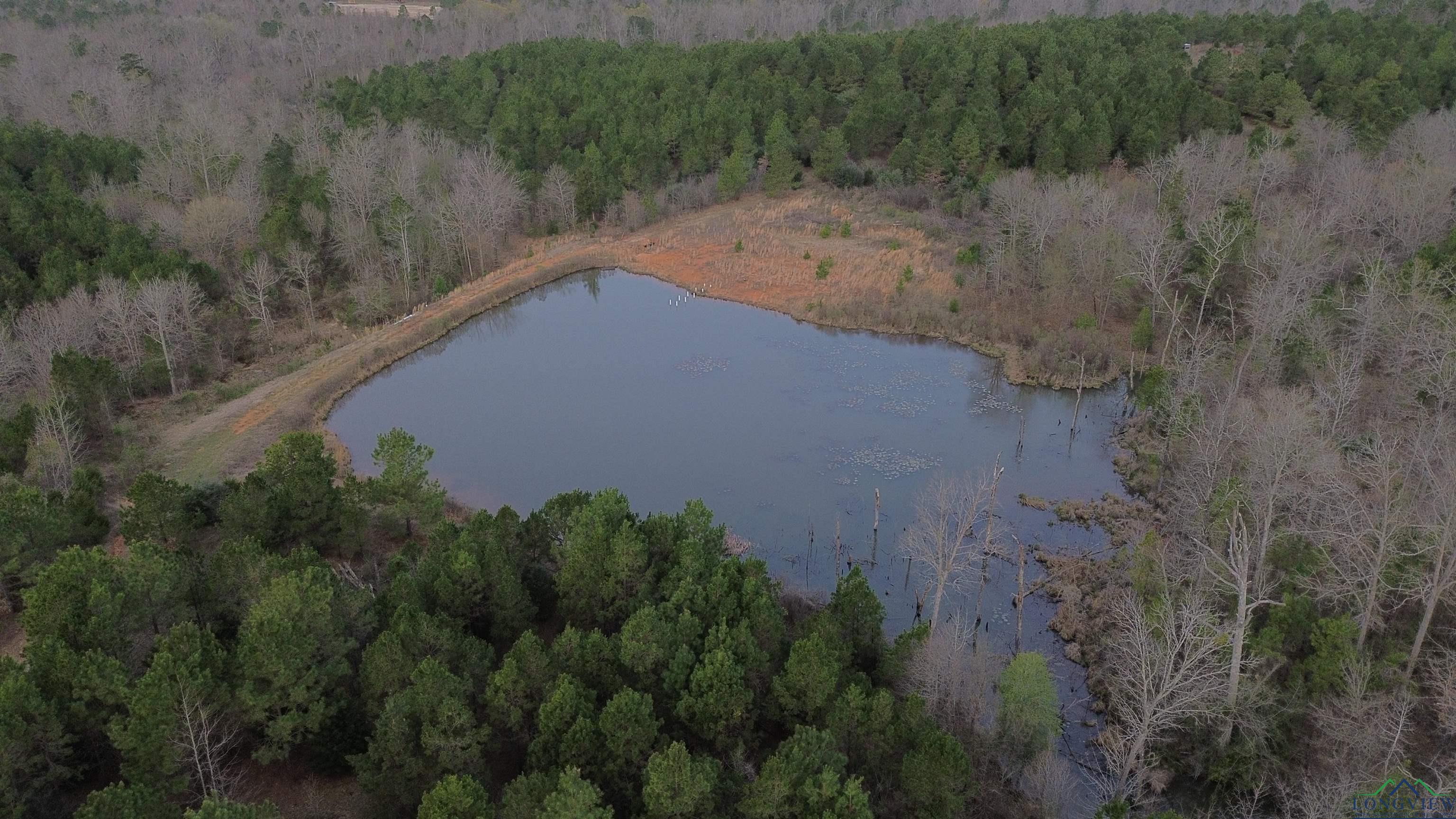 TBD County Road 1634, Linden, Texas image 24