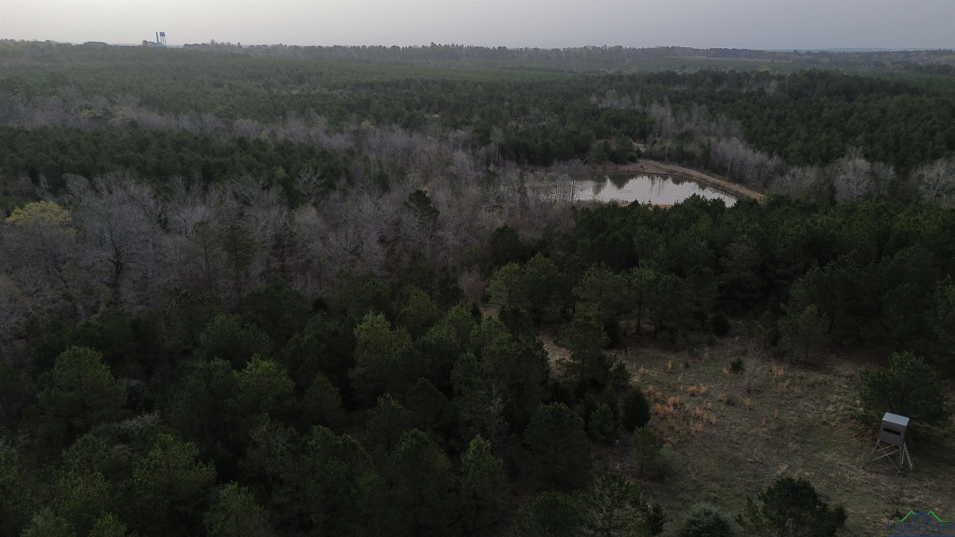 TBD County Road 1634, Linden, Texas image 29