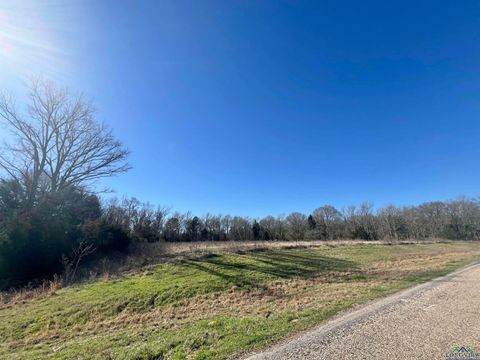 Vacant Land For Sale - TBD Cr 1400<br/> Titus County, Mount Pleasant, TX 75455