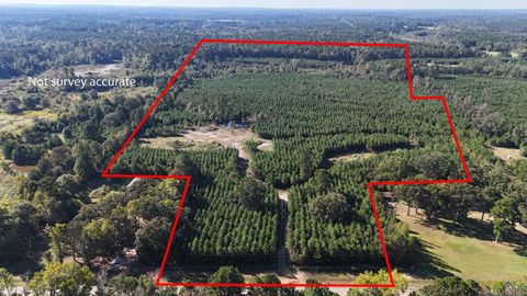 Vacant Land For Sale - 58 AC TBD Fm 726<br/> Marion County, Jefferson, TX 75657