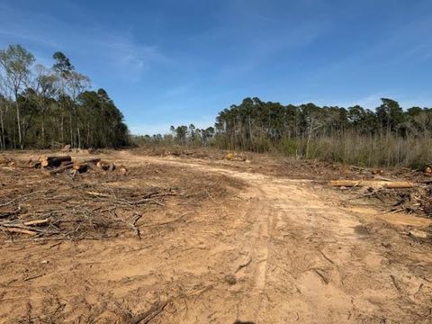 Vacant Land For Sale - 1955 County Road 201<br/> San Augustine County, Center, TX 75935