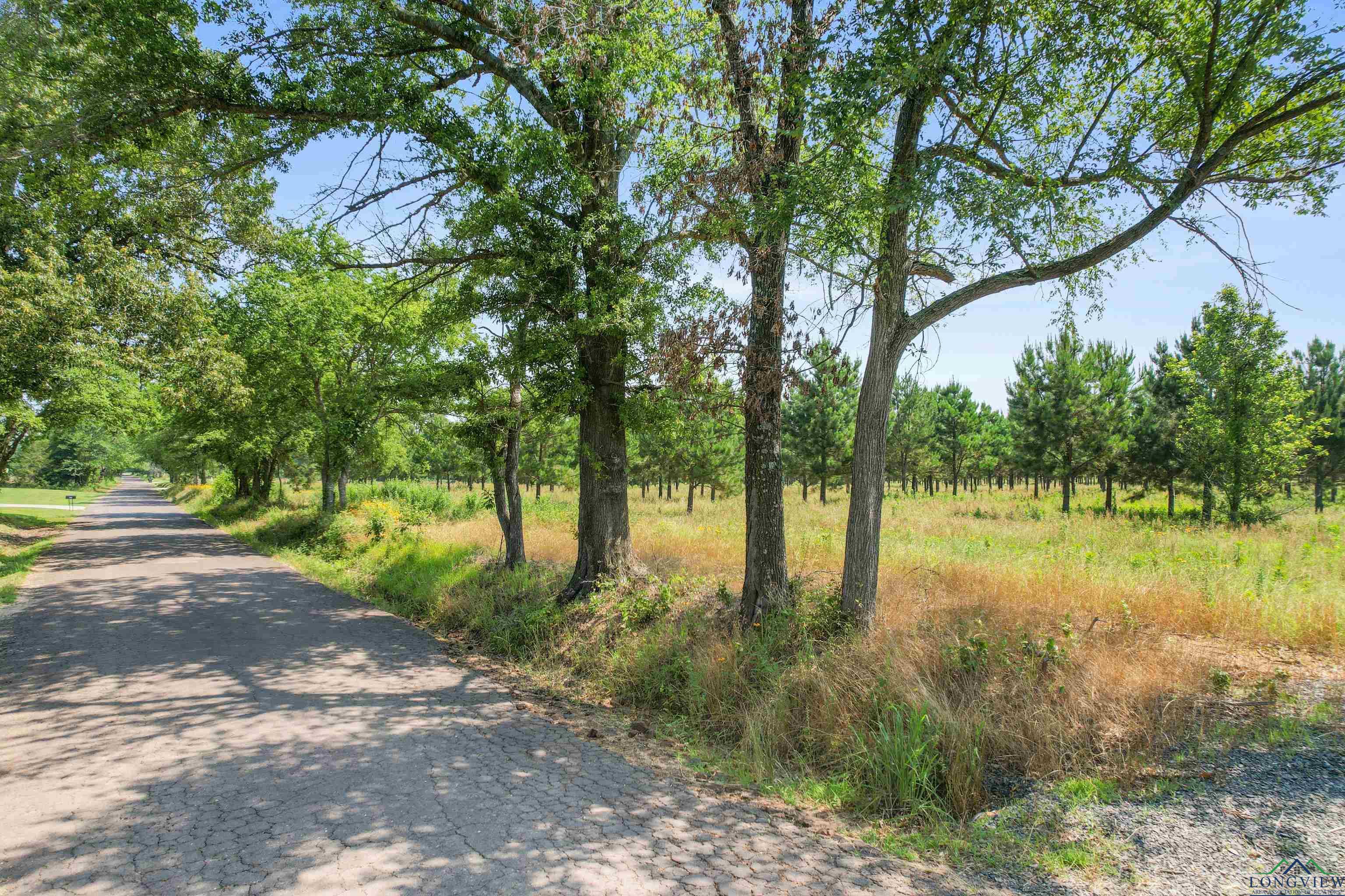 2323 Finch Road, Gilmer, Texas image 9