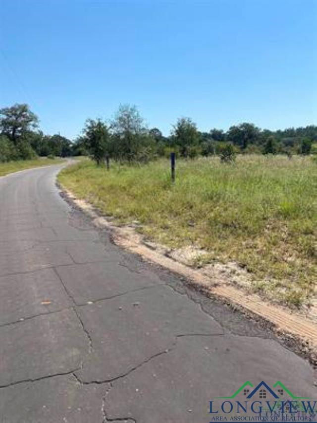 TBD County Road 1242, Douglassville, Texas image 2