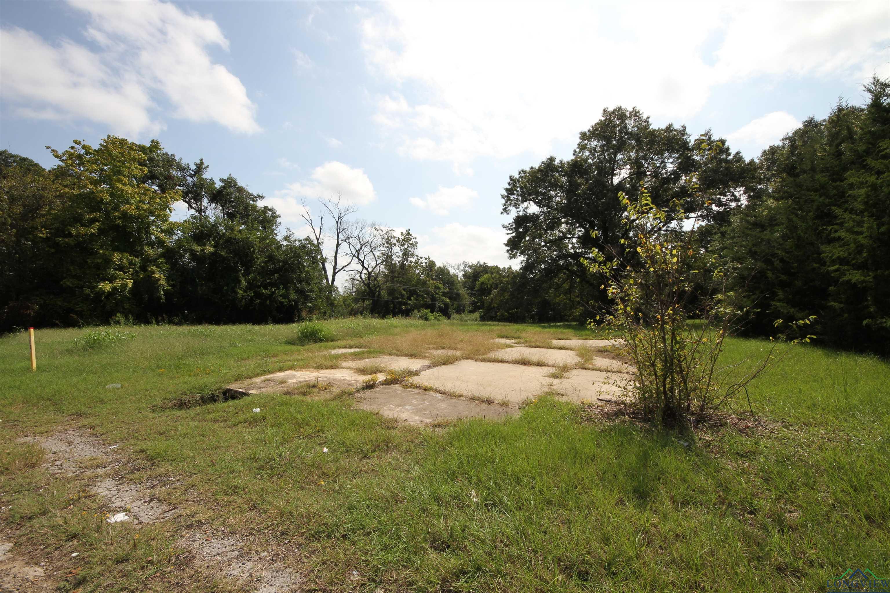 811 Hwy 80, Grand Saline, Texas image 4