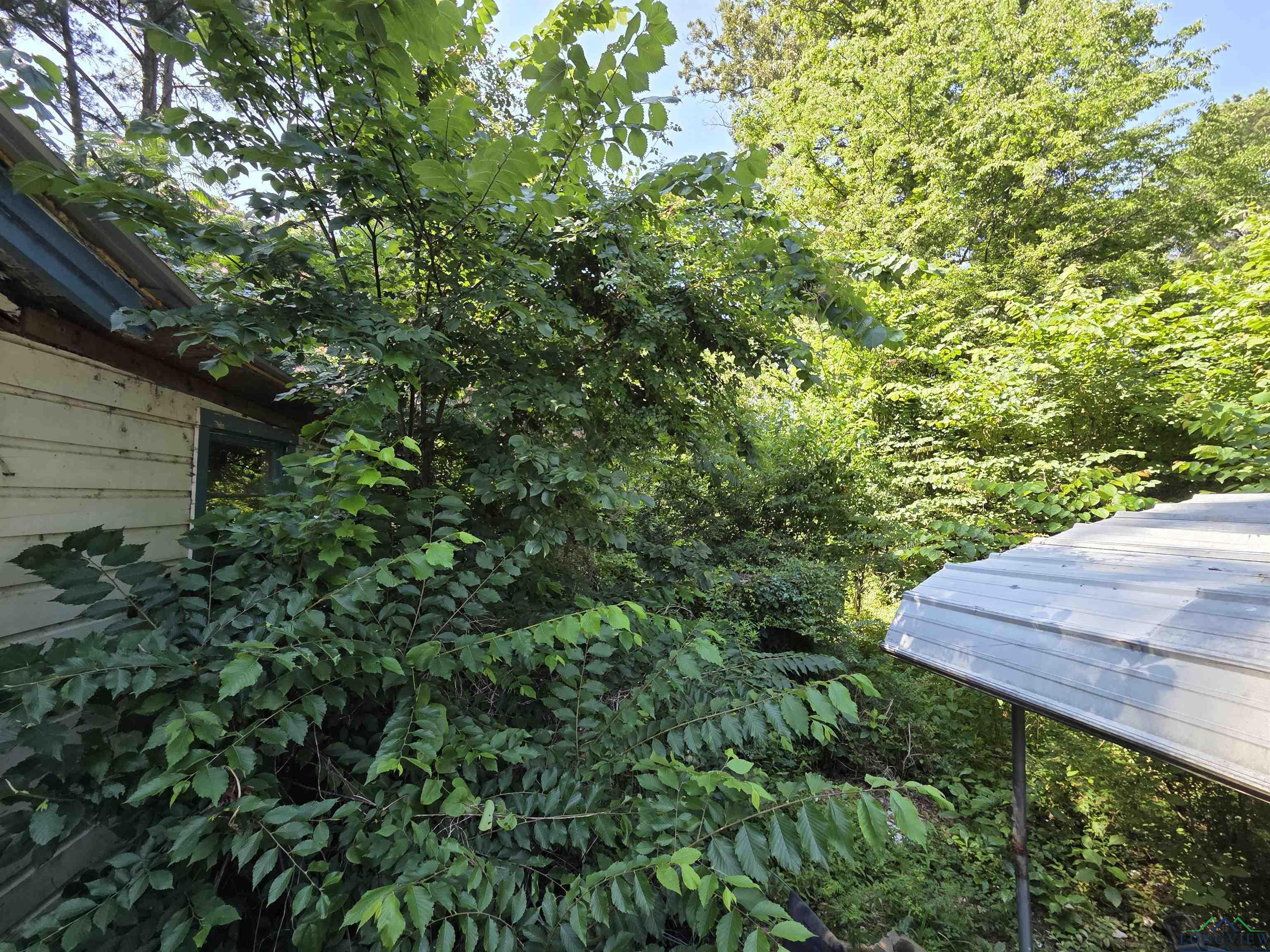 14353 Janis St, Ore City, Texas image 3
