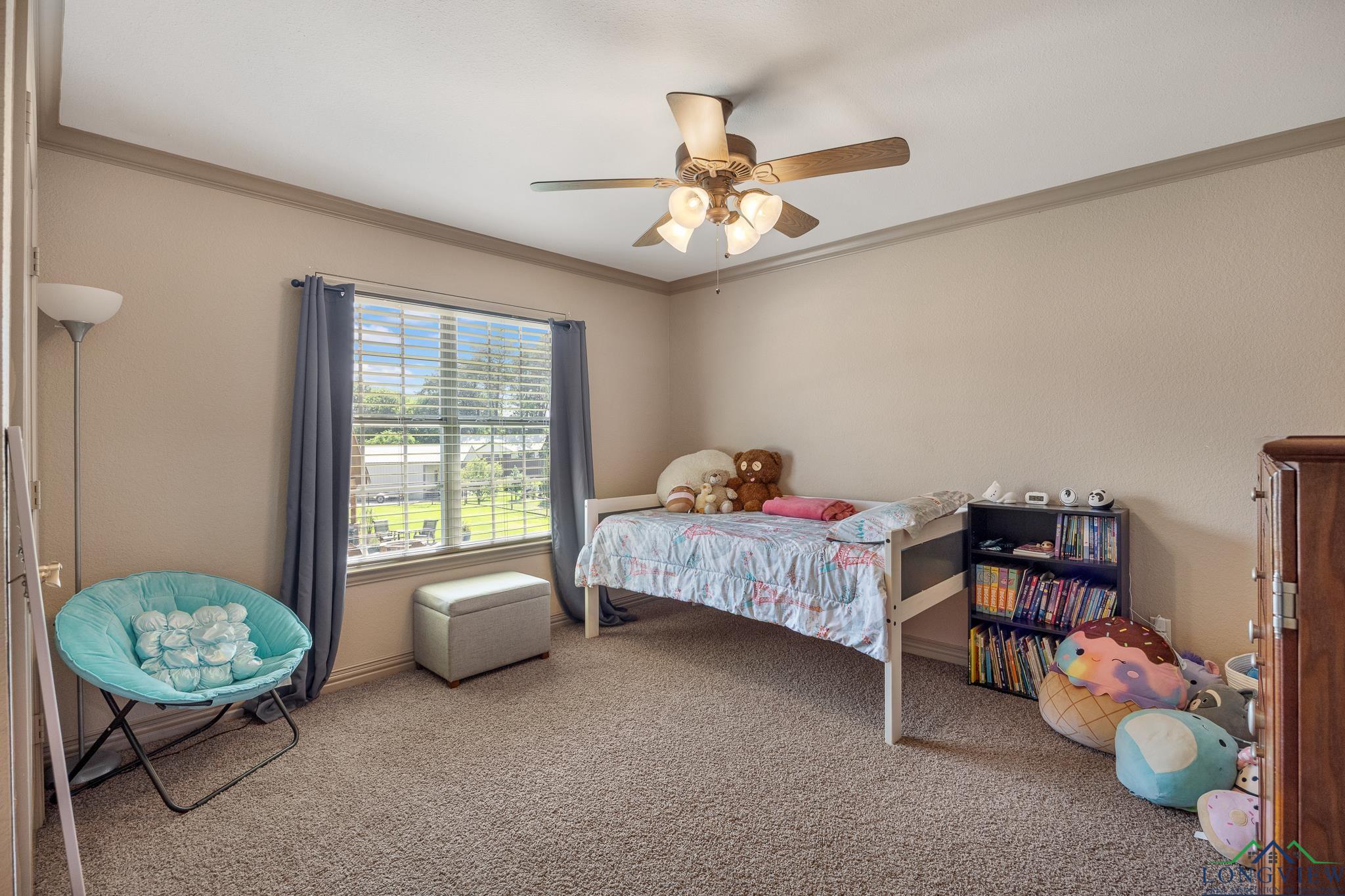 15981 Cedar Bay Dr, Bullard, Texas image 23