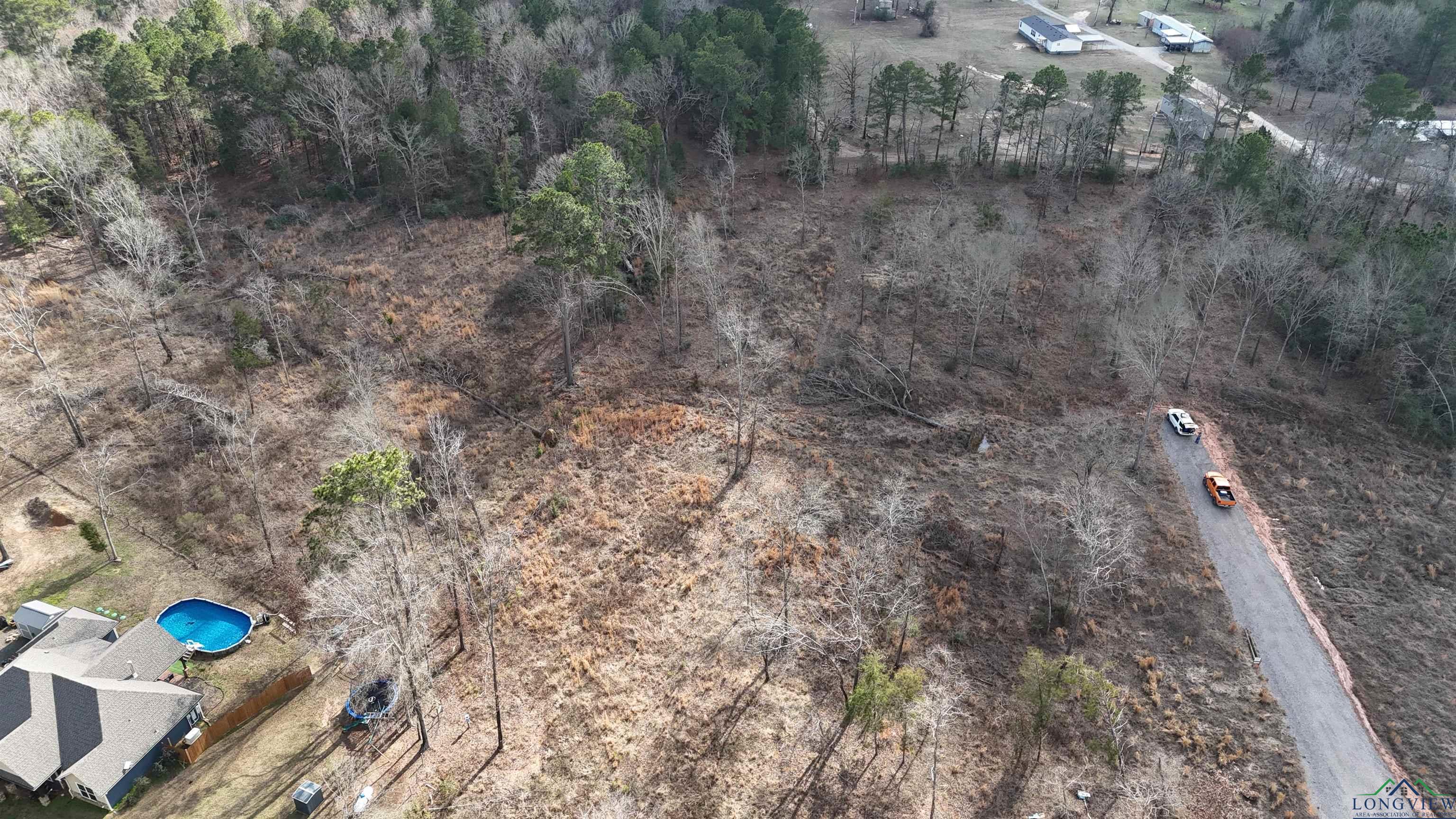 TBD - Lot 3 Pr 1111, Diana, Texas image 1