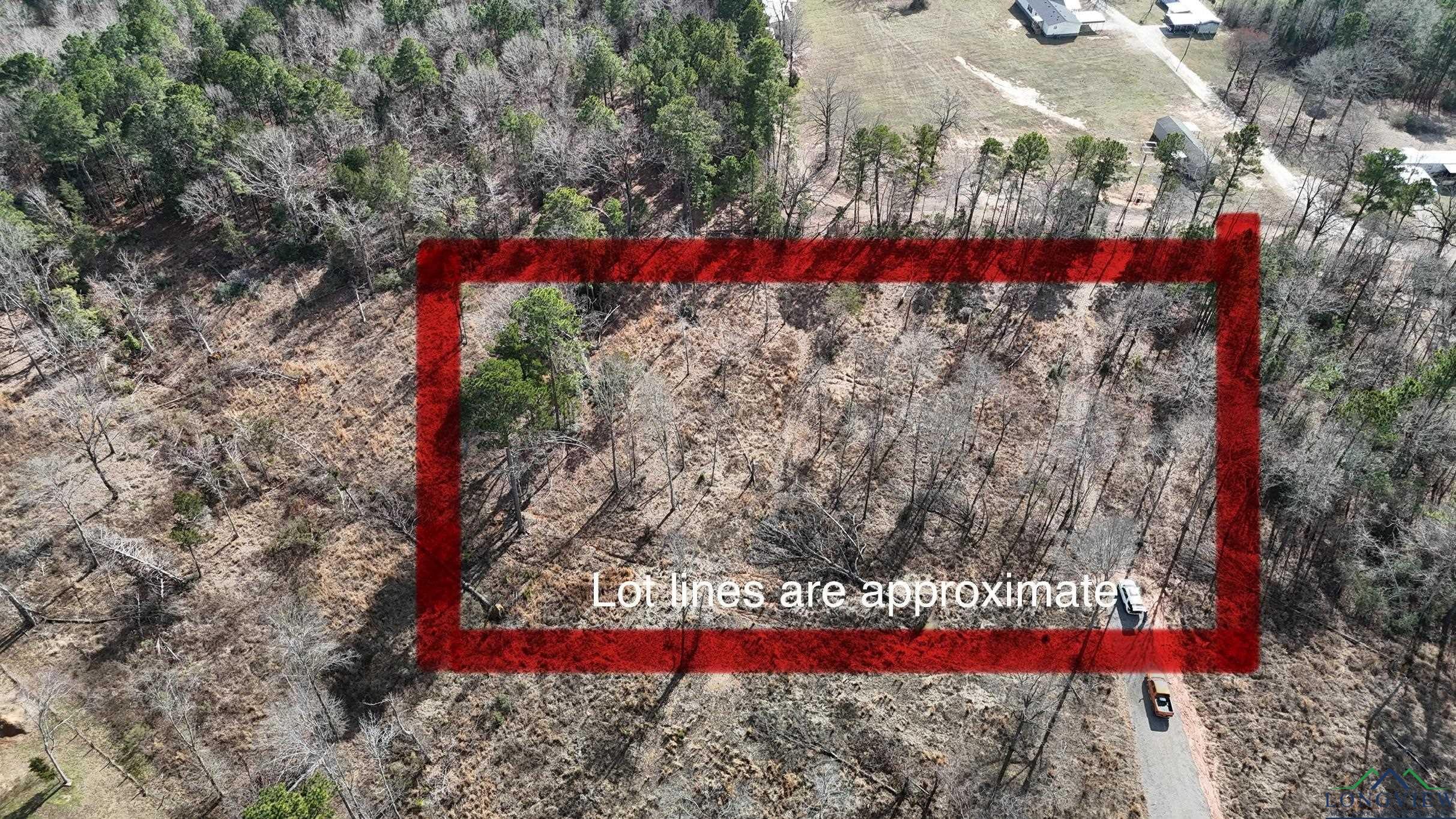 TBD - Lot 3 Pr 1111, Diana, Texas image 3