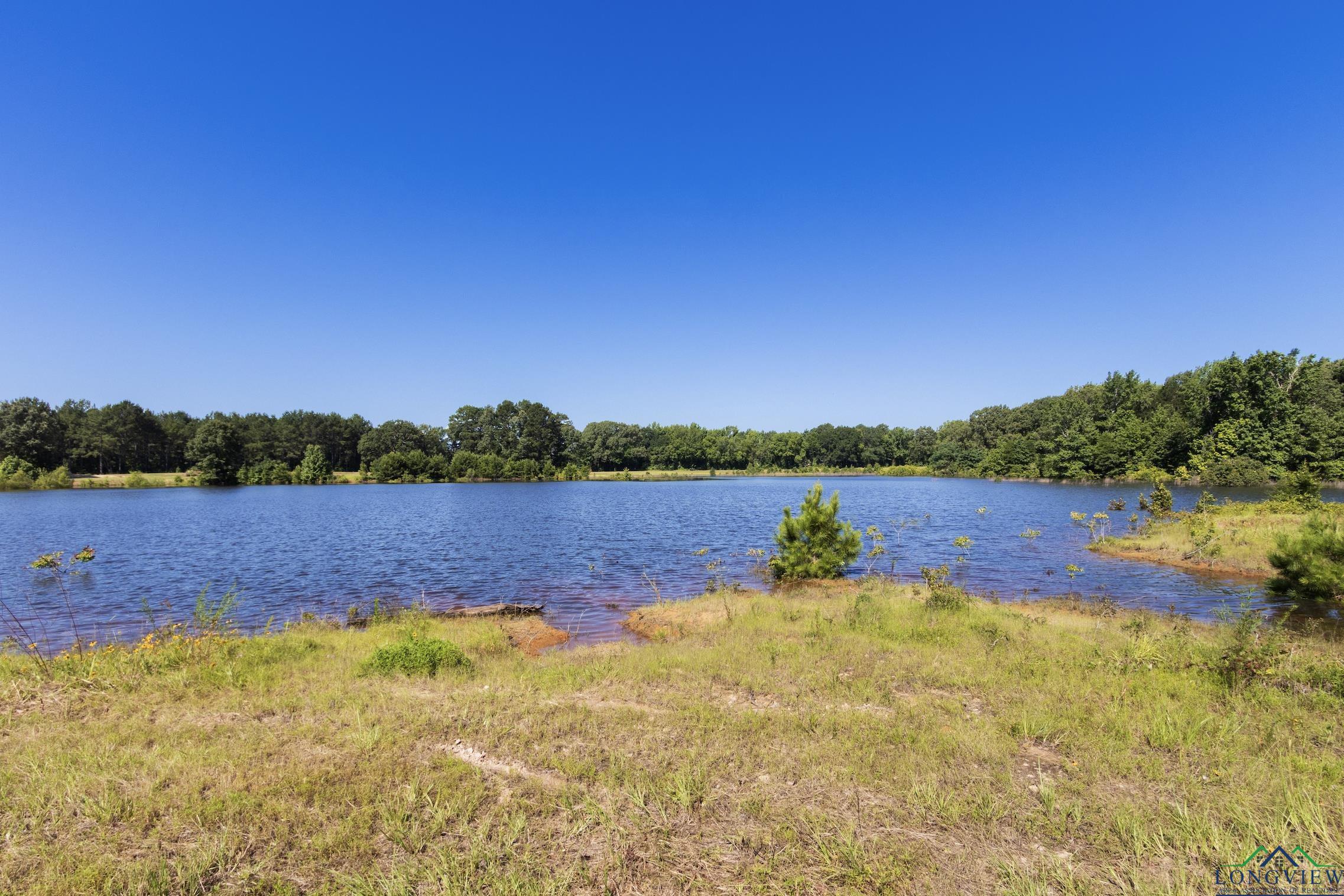 TBD Cr 243 N, Kilgore, Texas image 14