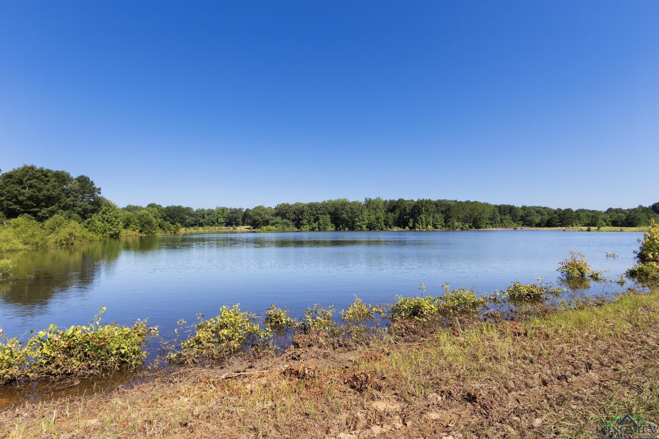 TBD Cr 243 N, Kilgore, Texas image 12