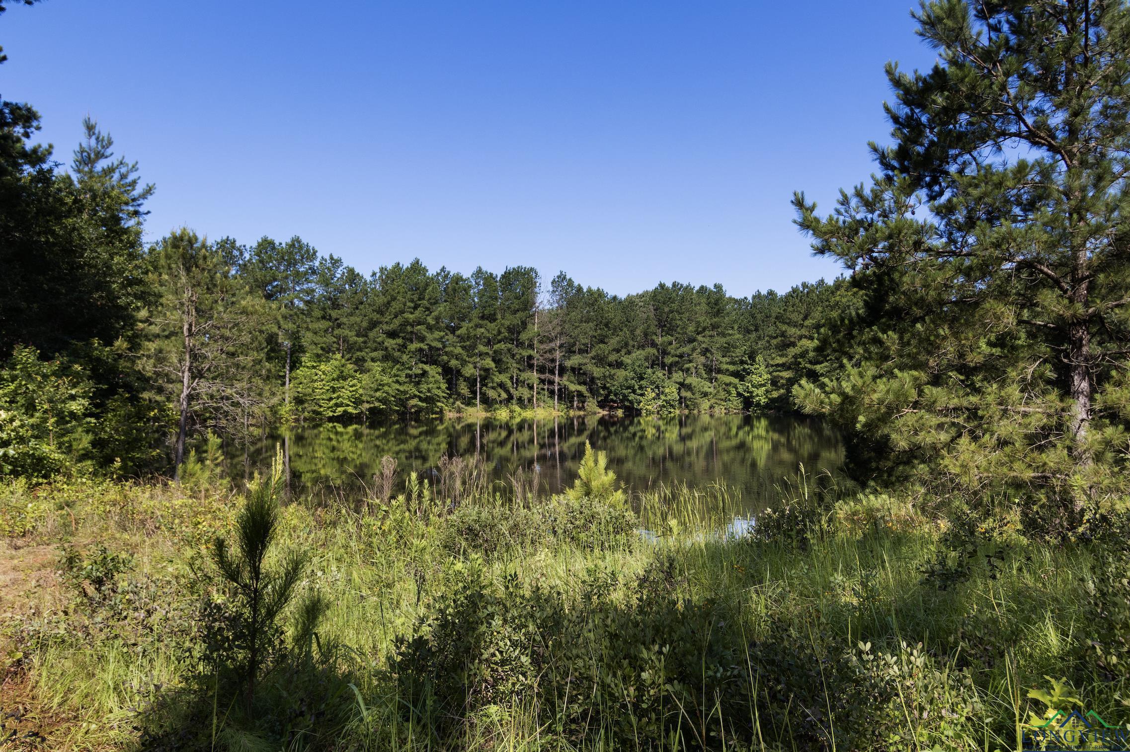 TBD Cr 243 N, Kilgore, Texas image 10