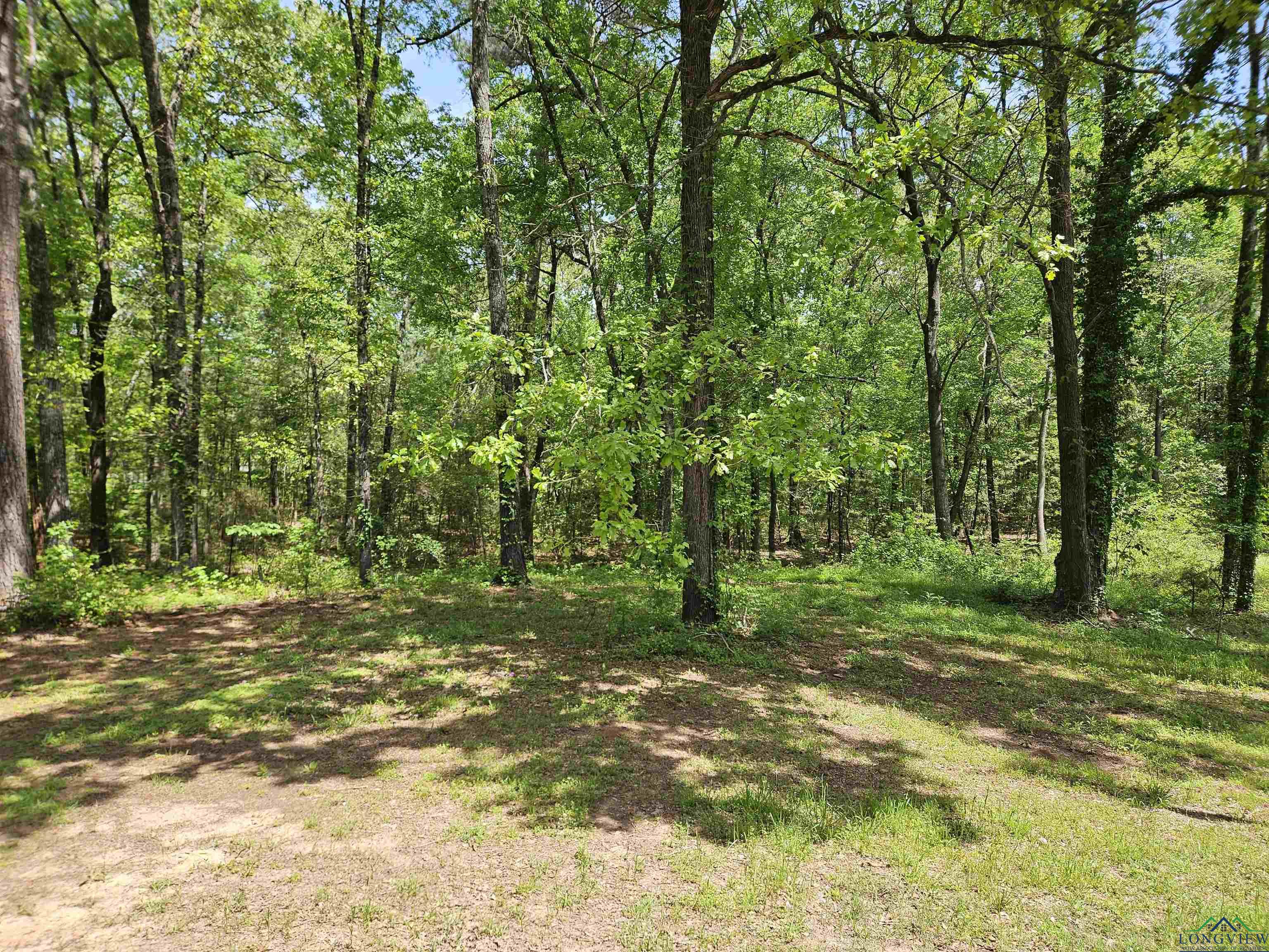 226 Woodlawn Estates Rd, Marshall, Texas image 27