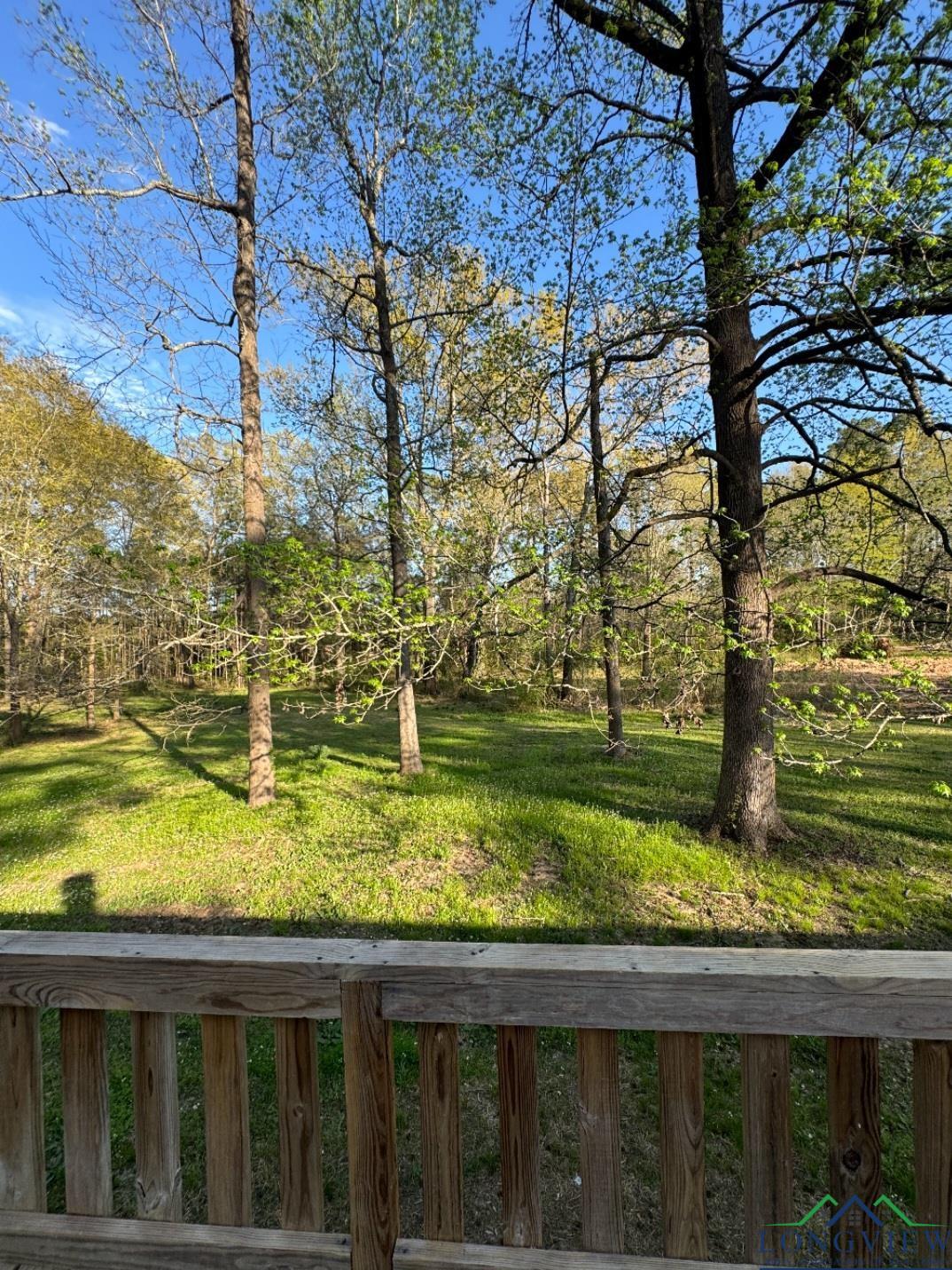 226 Woodlawn Estates Rd, Marshall, Texas image 22