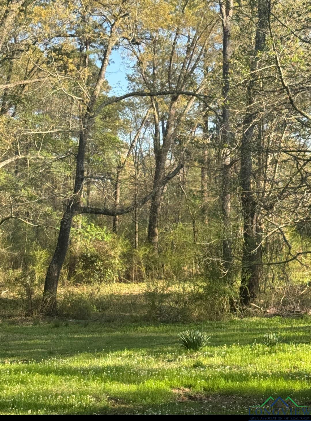 226 Woodlawn Estates Rd, Marshall, Texas image 24