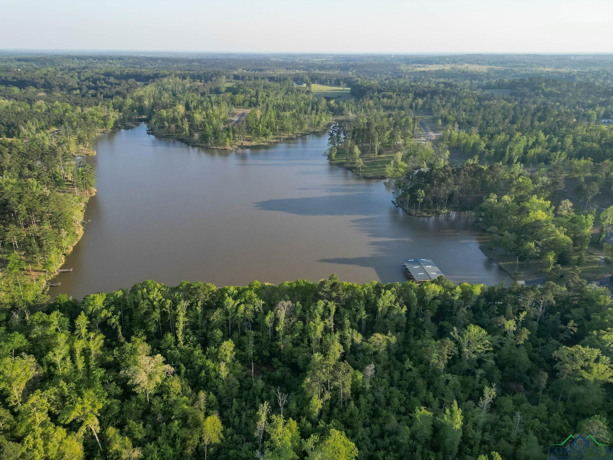 LT 45 Marble Way, Hallsville, Texas image 39