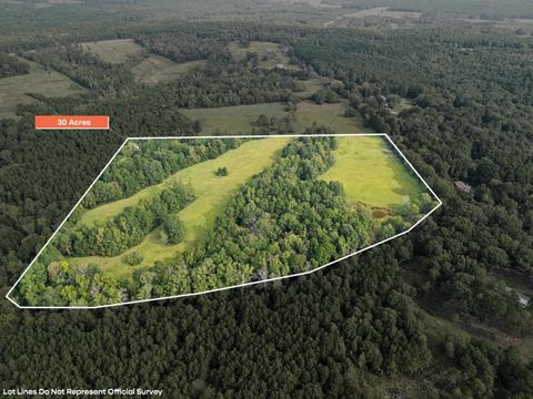 Vacant Land For Sale - 328 County Rd 180<br/> Panola County, Gary, TX 75643